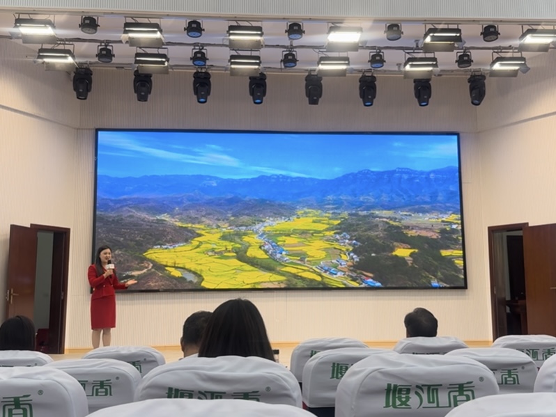 夷陵：“石屋花海·百里云歌”样板带亮相省级推介活动 绘就和美乡村新画卷
