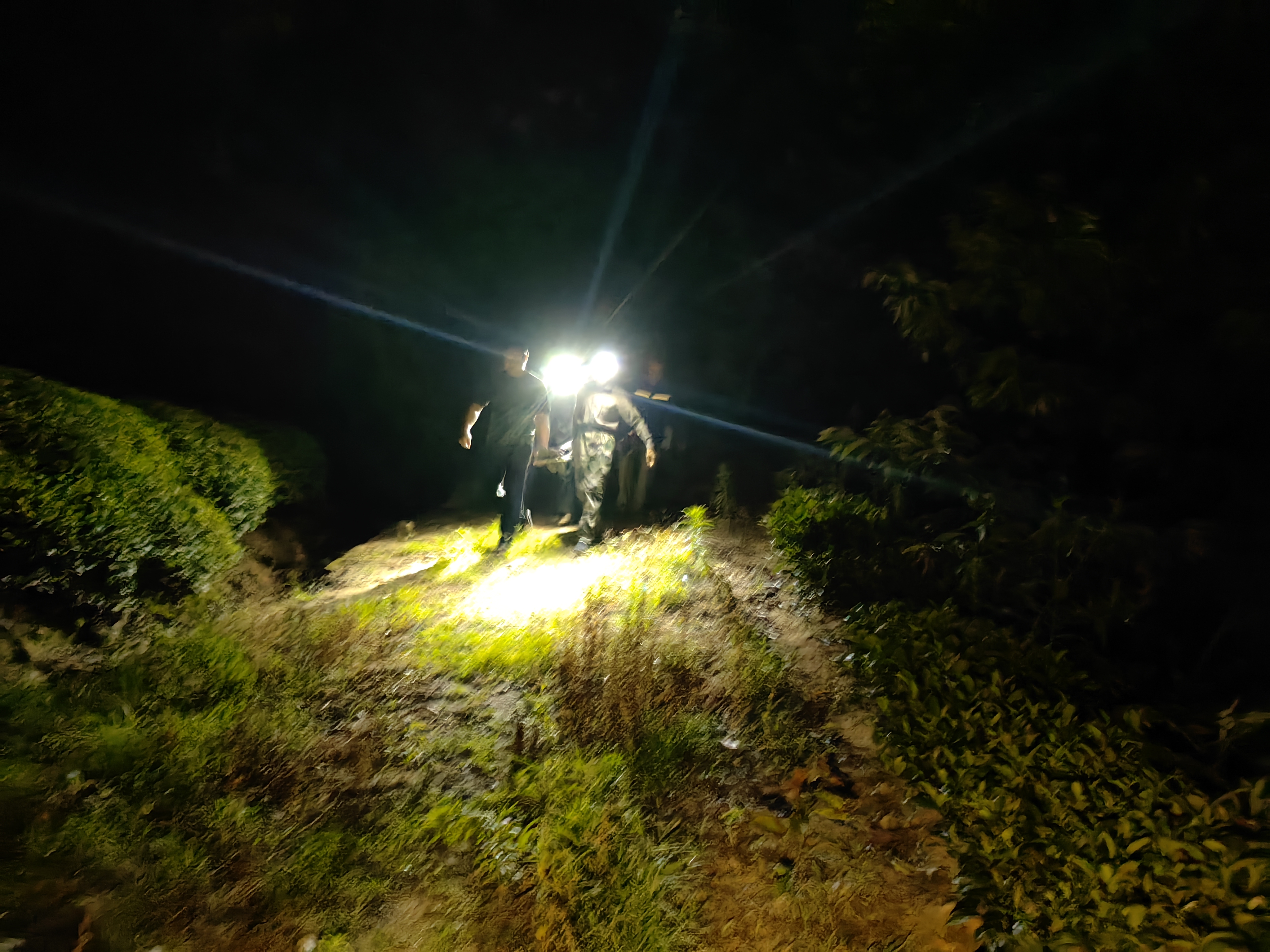 耄耋老人深夜摔伤命悬一线！急救人员徒步两公里崎岖山路抢回生机