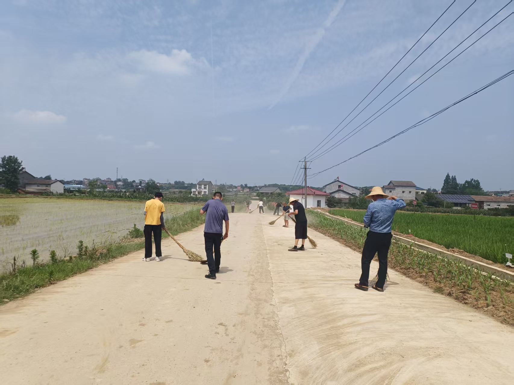 夷陵区鸦鹊岭镇：义务劳动践矫正，乡村美颜共行动