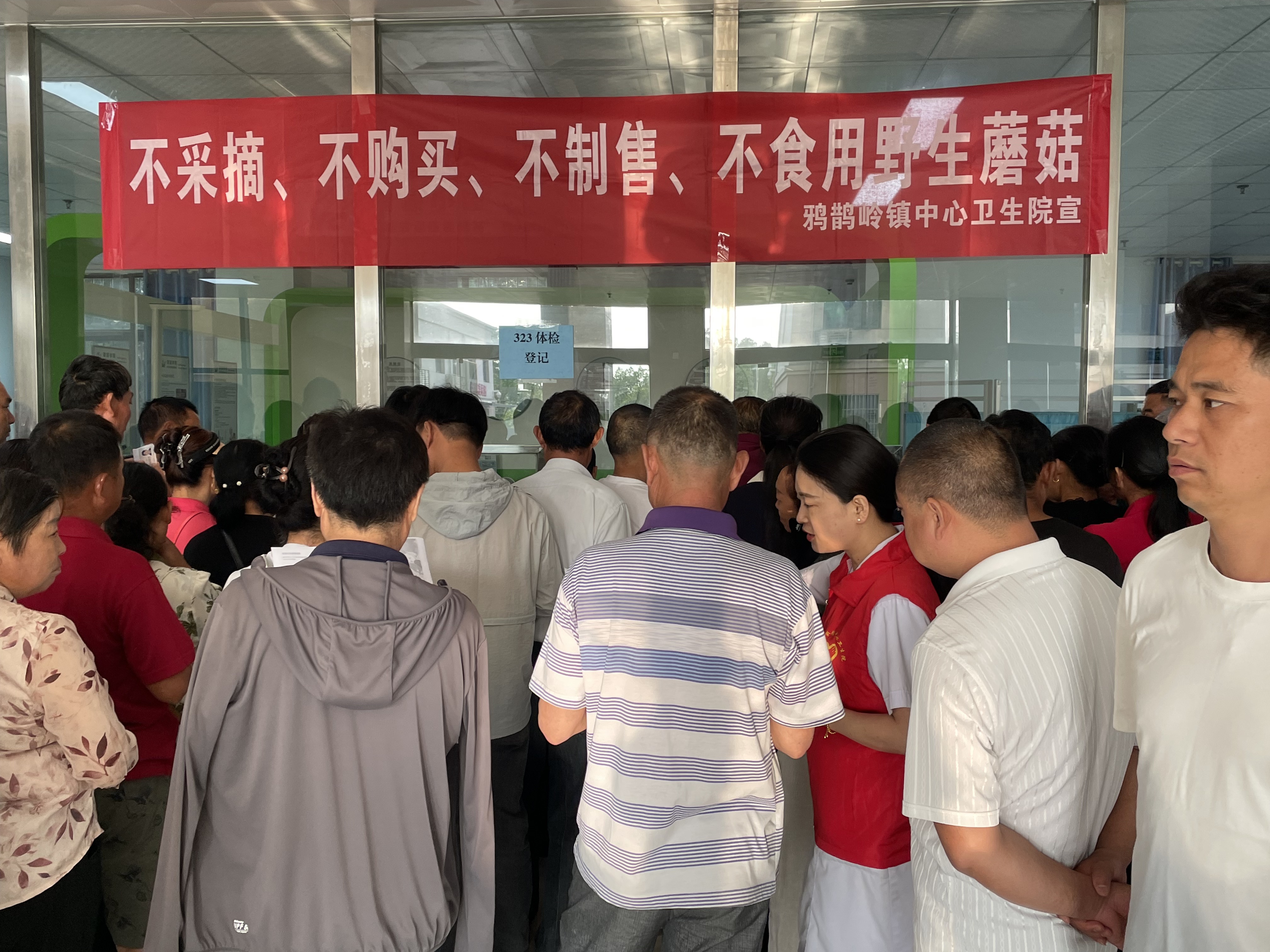 夷陵区鸦鹊岭镇：珍爱生命，远离野生蘑菇