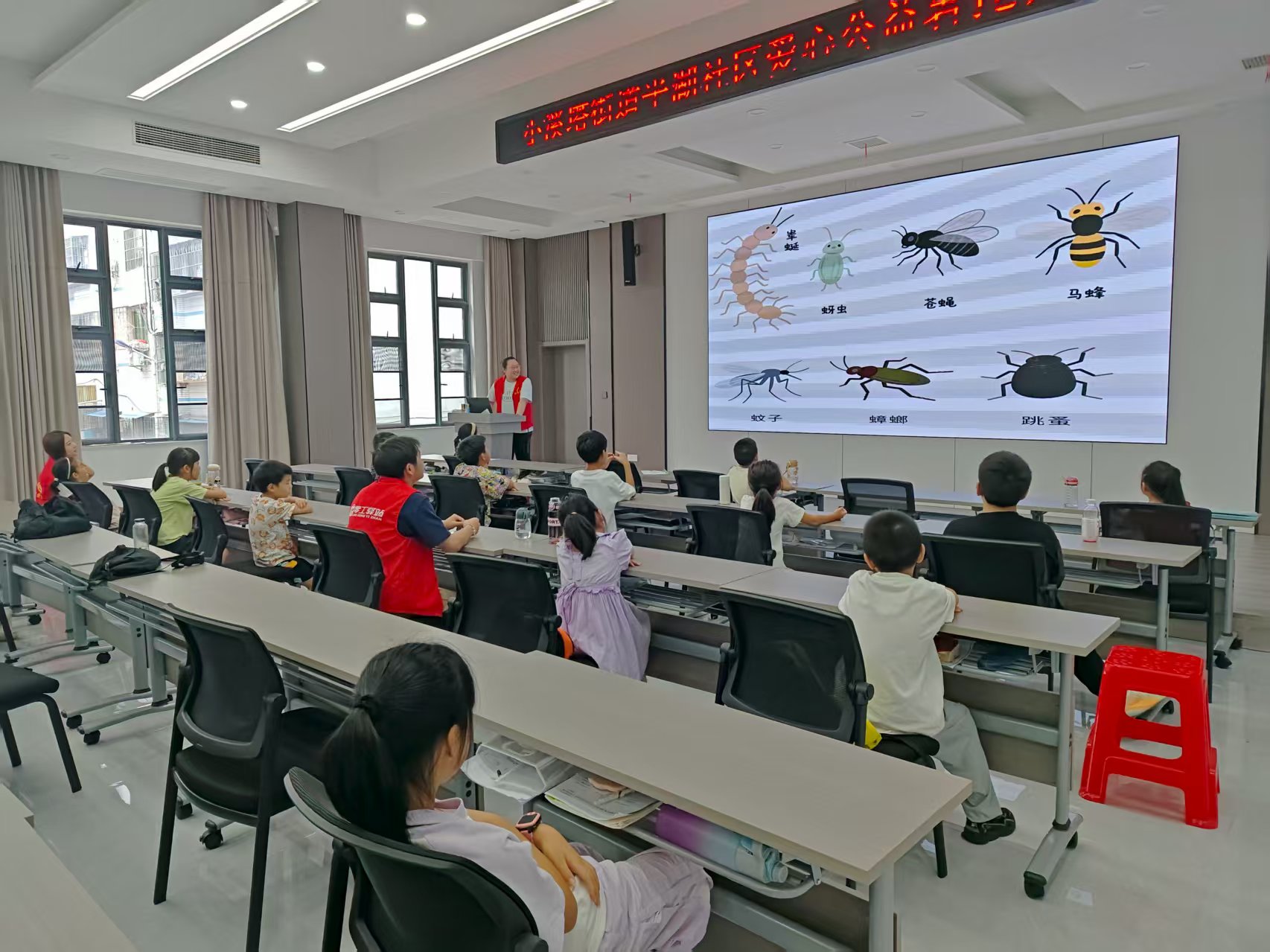 探索昆虫世界 封存自然之美