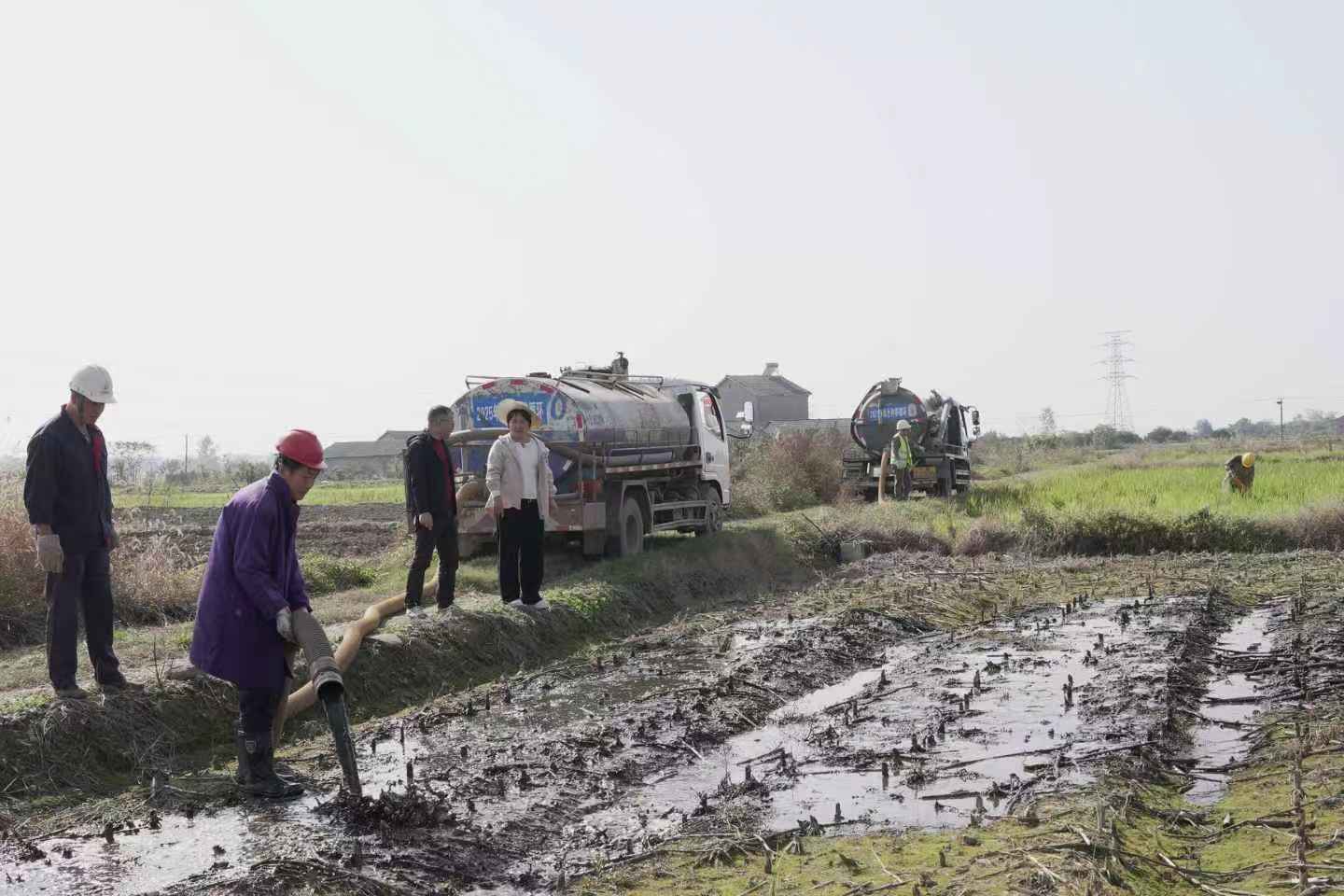 粪肥还田润福地 种养循环促丰收