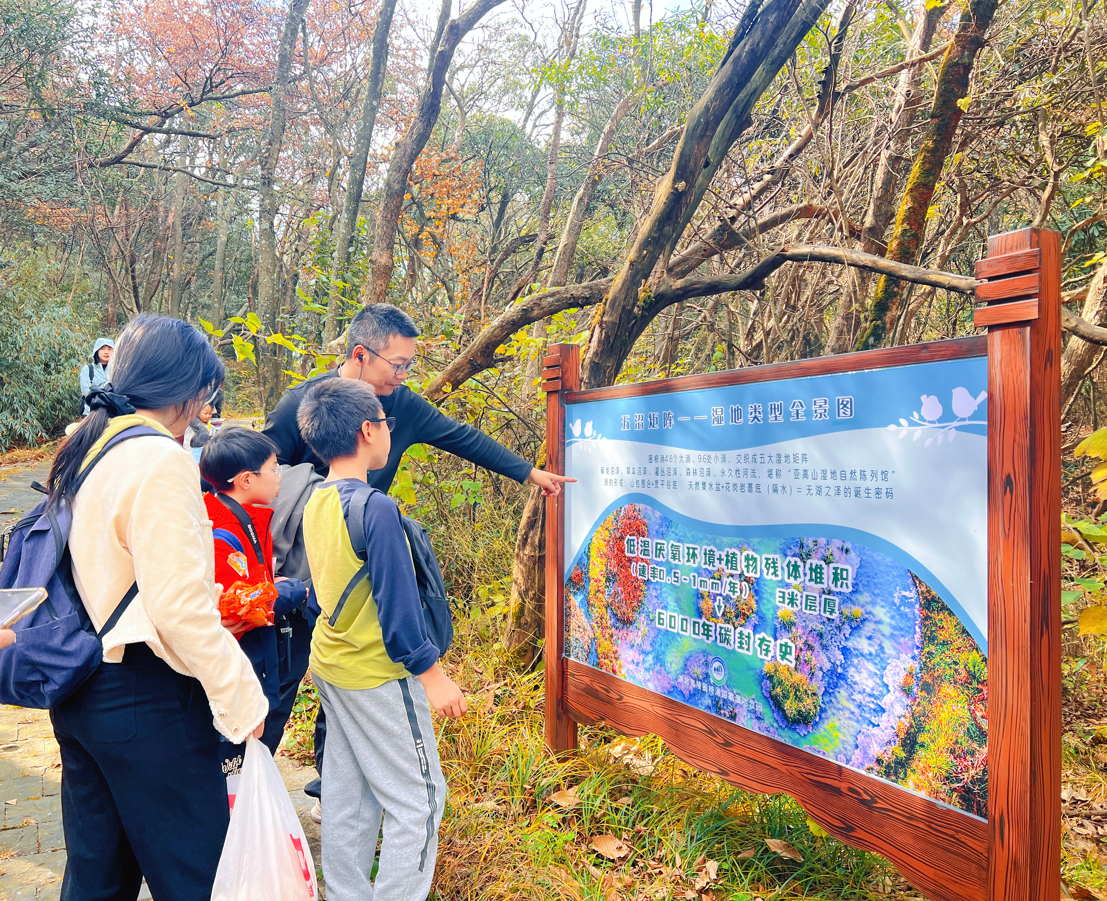 以行动护绿意 让森林有呼吸