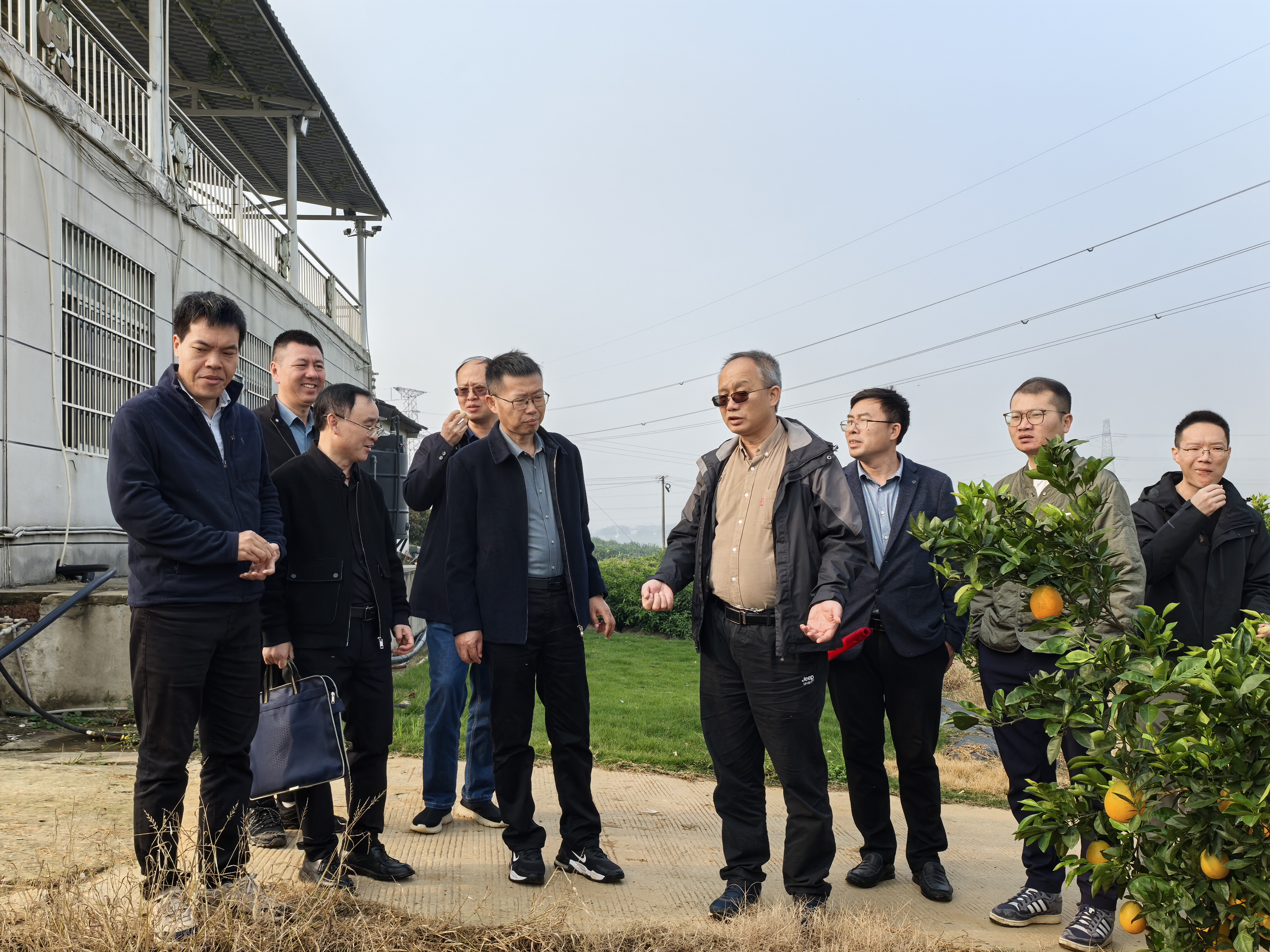 柑橘宜机轻简优质栽培模式通过专家查定