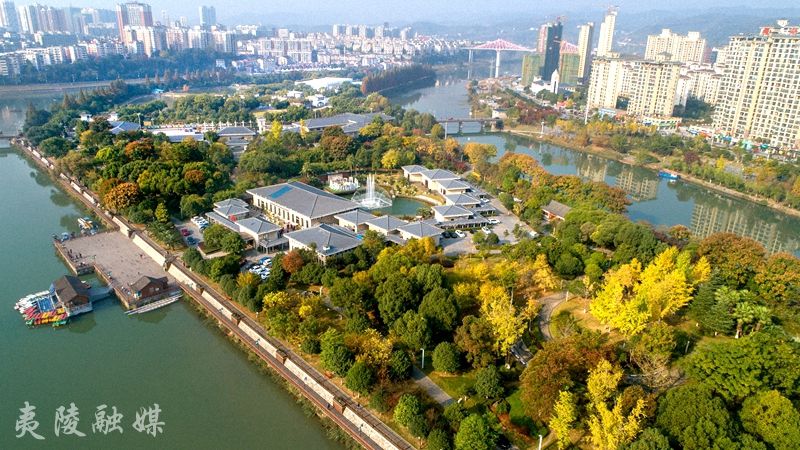 宜昌市委第二巡察组向鸦鹊岭镇东西泉村、东山村、梅林村反馈巡察情况