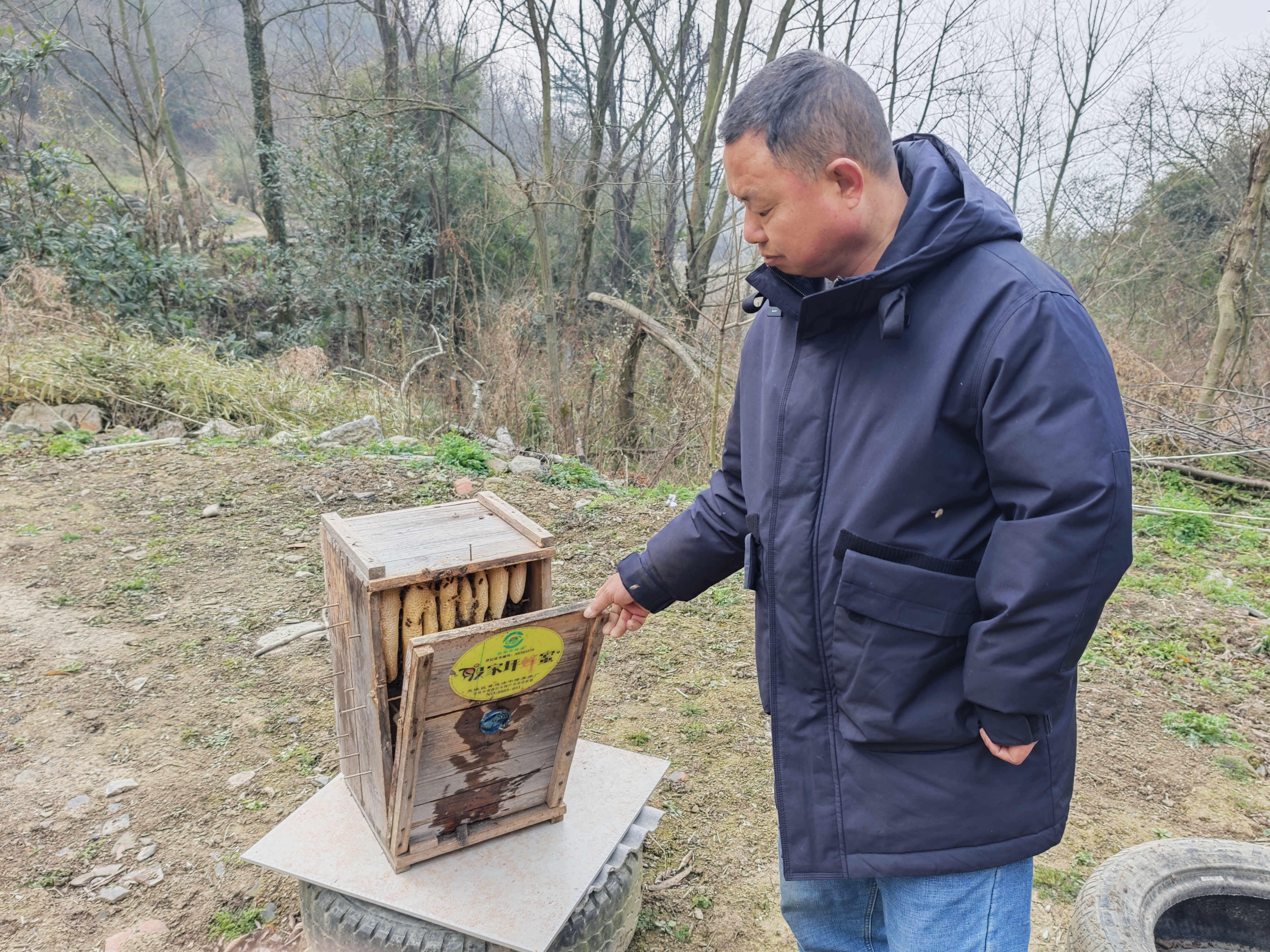 养蜂能手黄运法： 开创甜蜜事业 带领乡亲共酿幸福