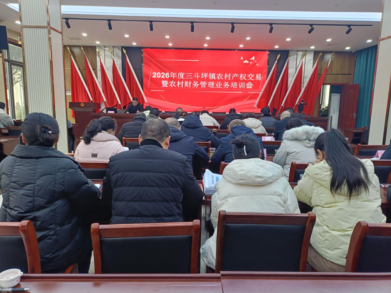 规范“三资”交易 筑牢财务根基