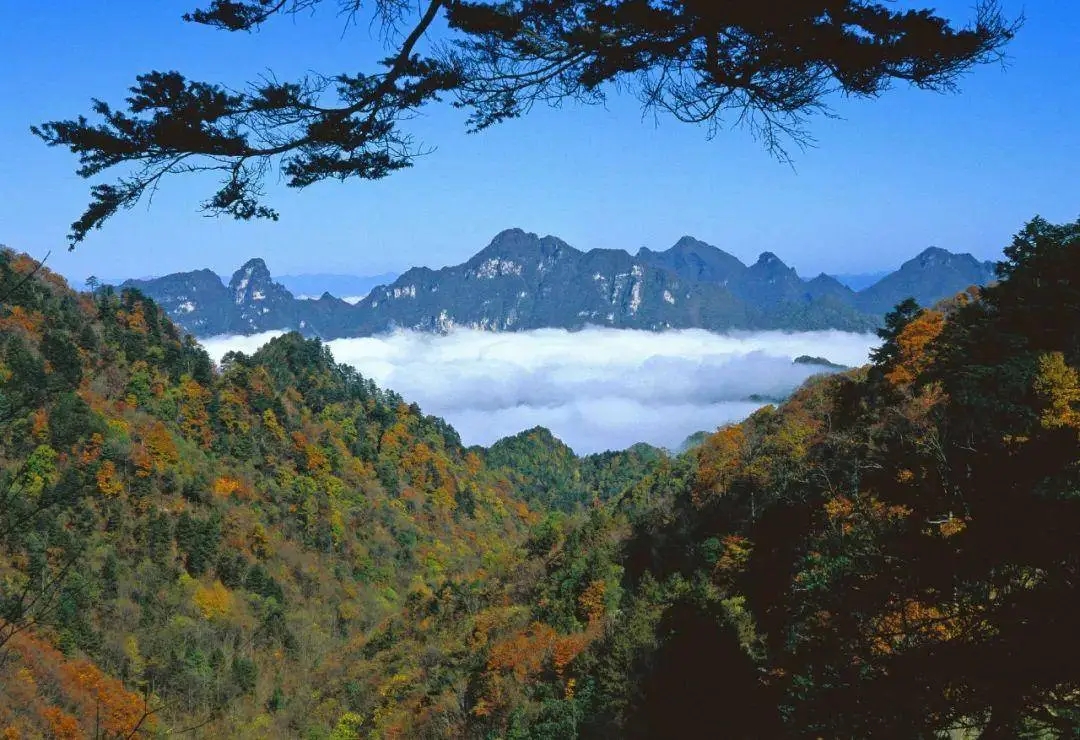 大老岭管理局：以起步即冲刺的姿态跑好开局起步“第一棒”