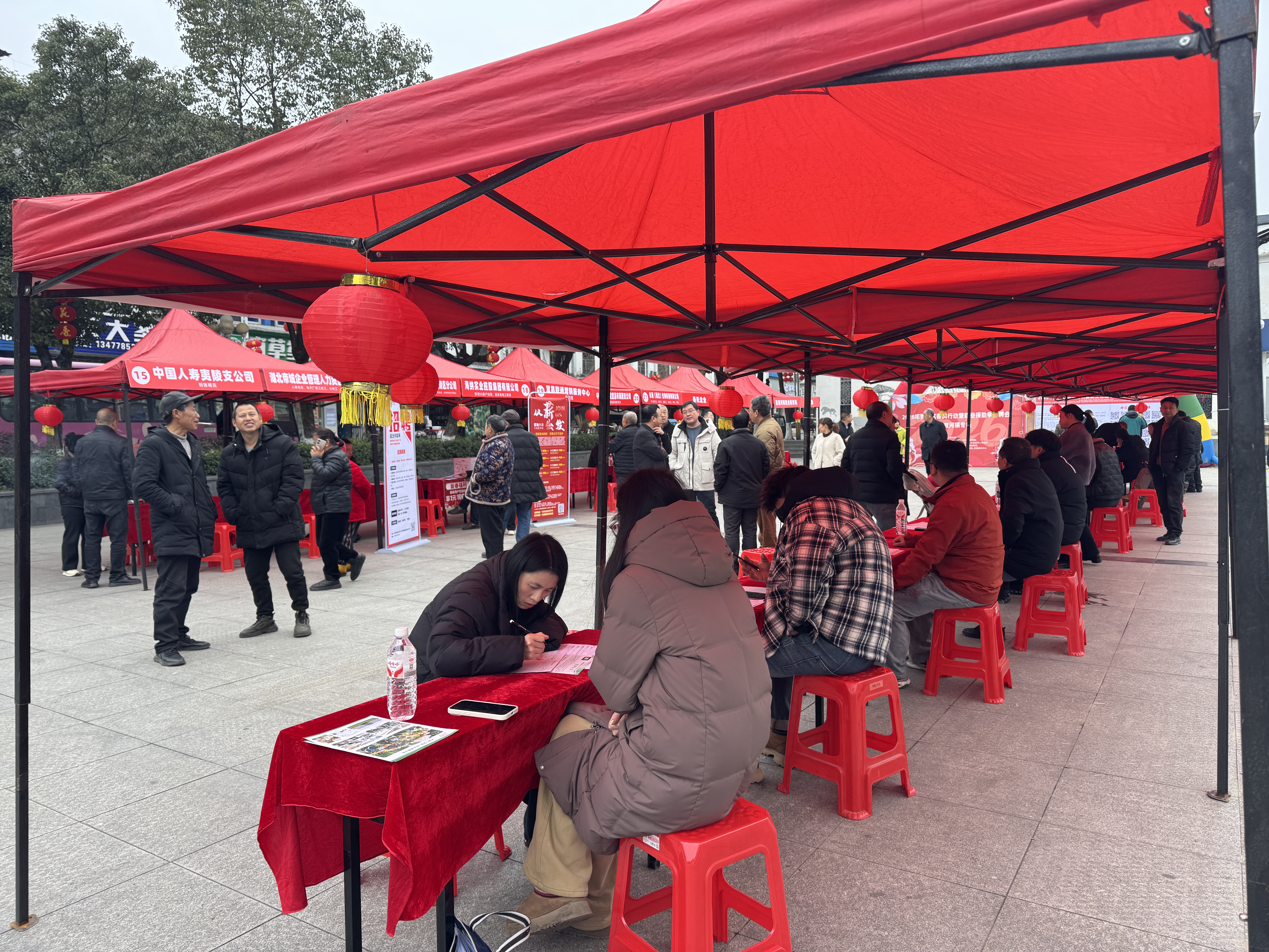 雾渡河镇：春风送岗暖民心，就业服务到基层