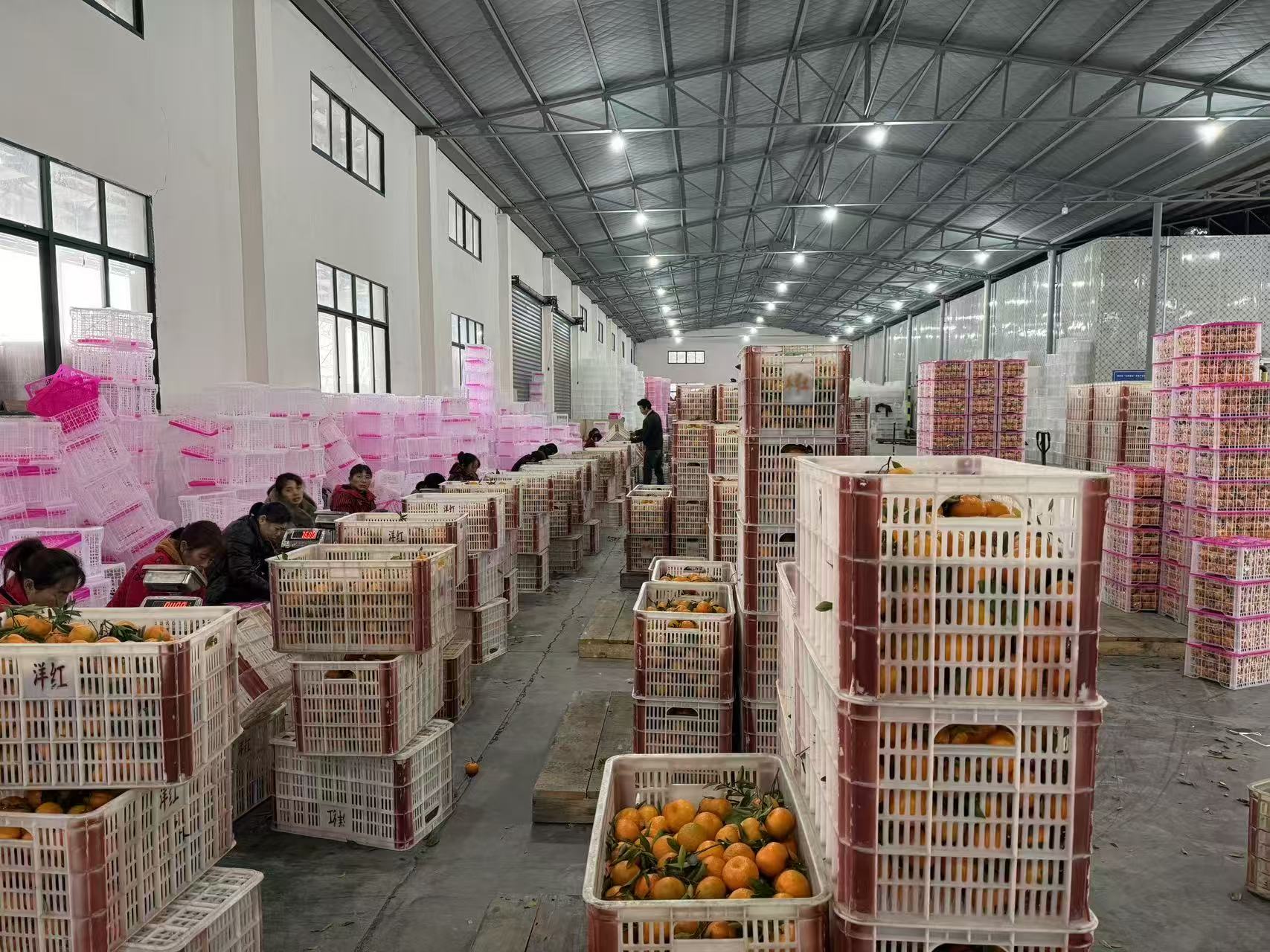 鸦鹊岭镇：岗位速配暖民心 新春就业加速度