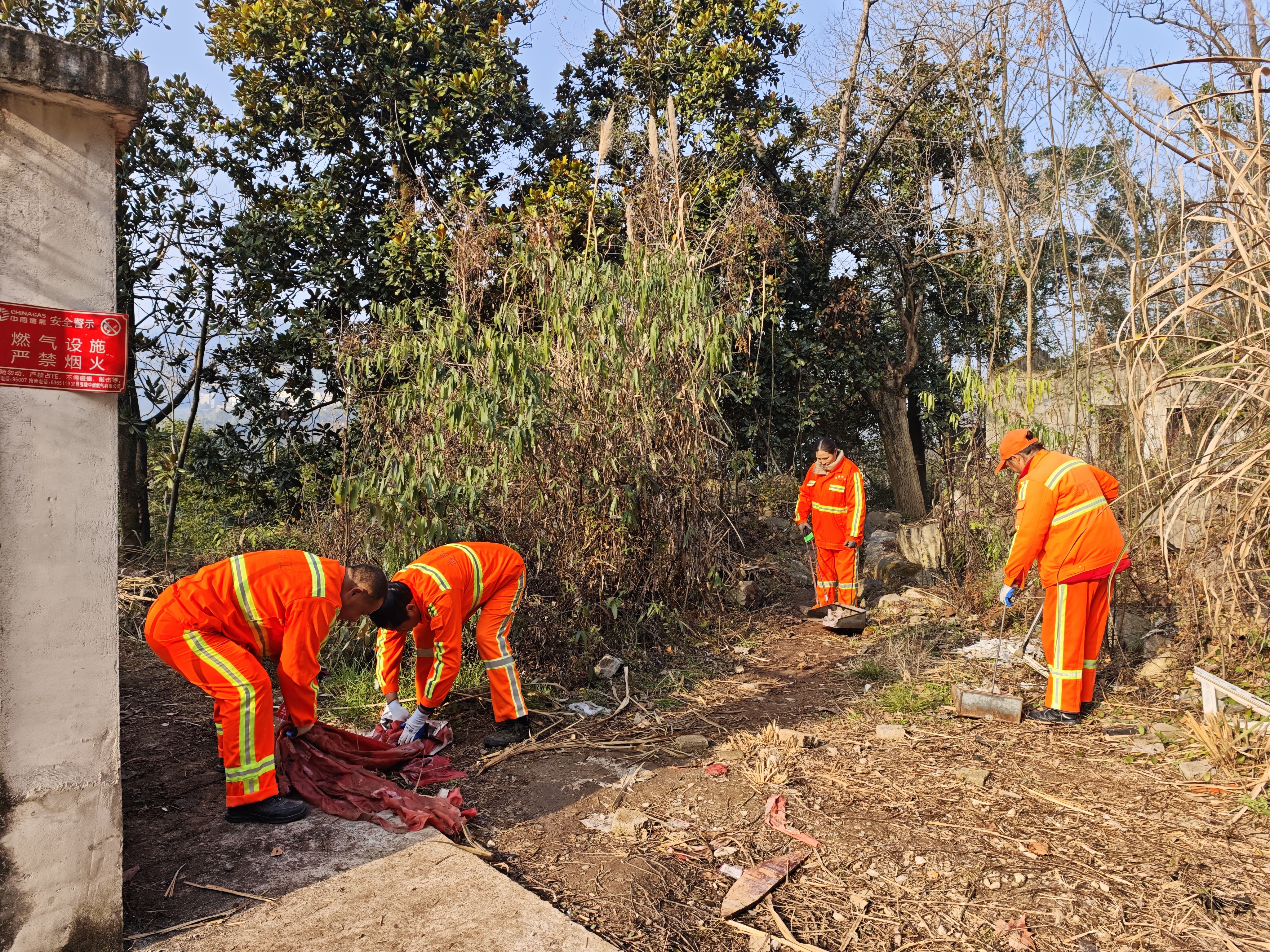 “百日攻坚”净街巷 集中整治焕新颜