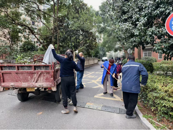 梅子垭村：清洁家园大扫除 焕然一新迎新春