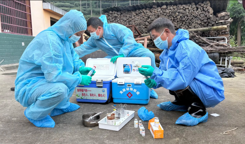 邓村乡：春防织密安全网，春管护好黄金芽