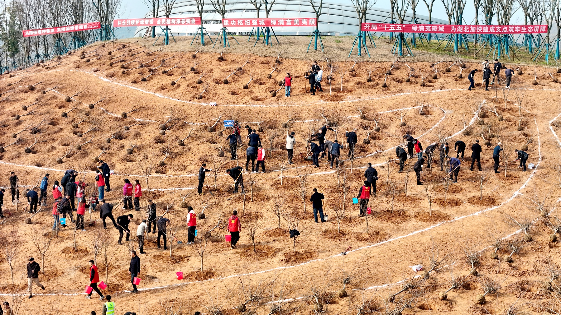 挥锹培土添新景 指尖“碳”路绿满城