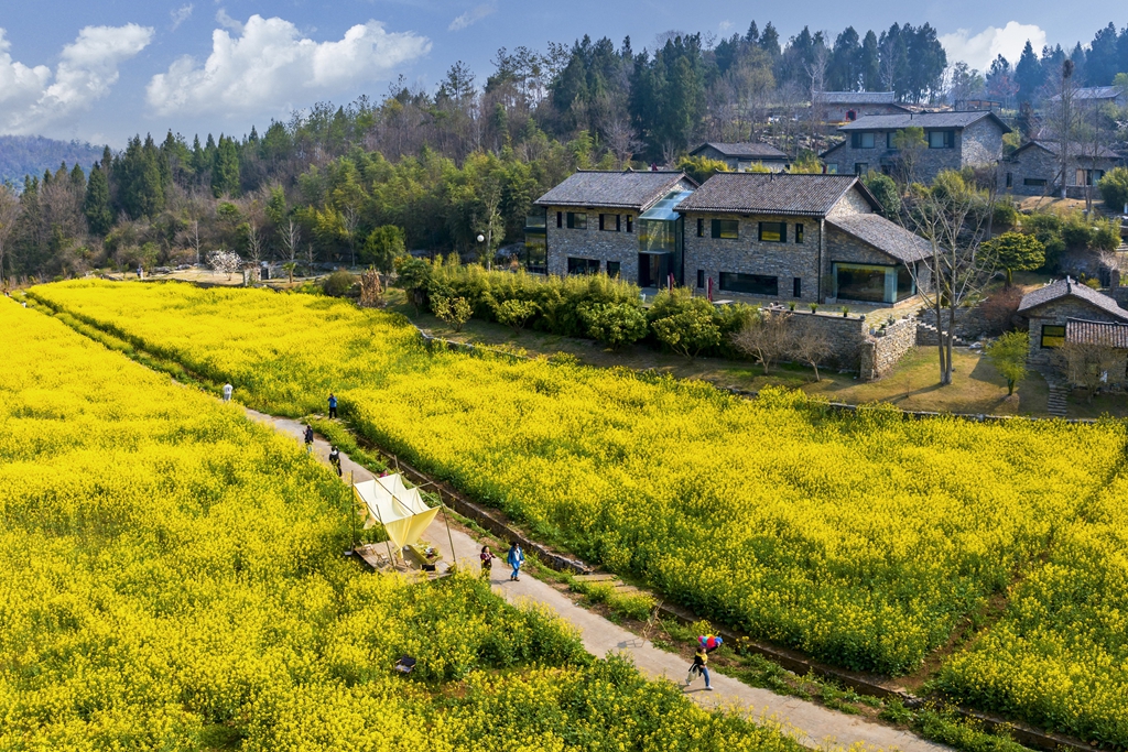 南岔湾：百年石屋藏春色 赏花打卡正当时