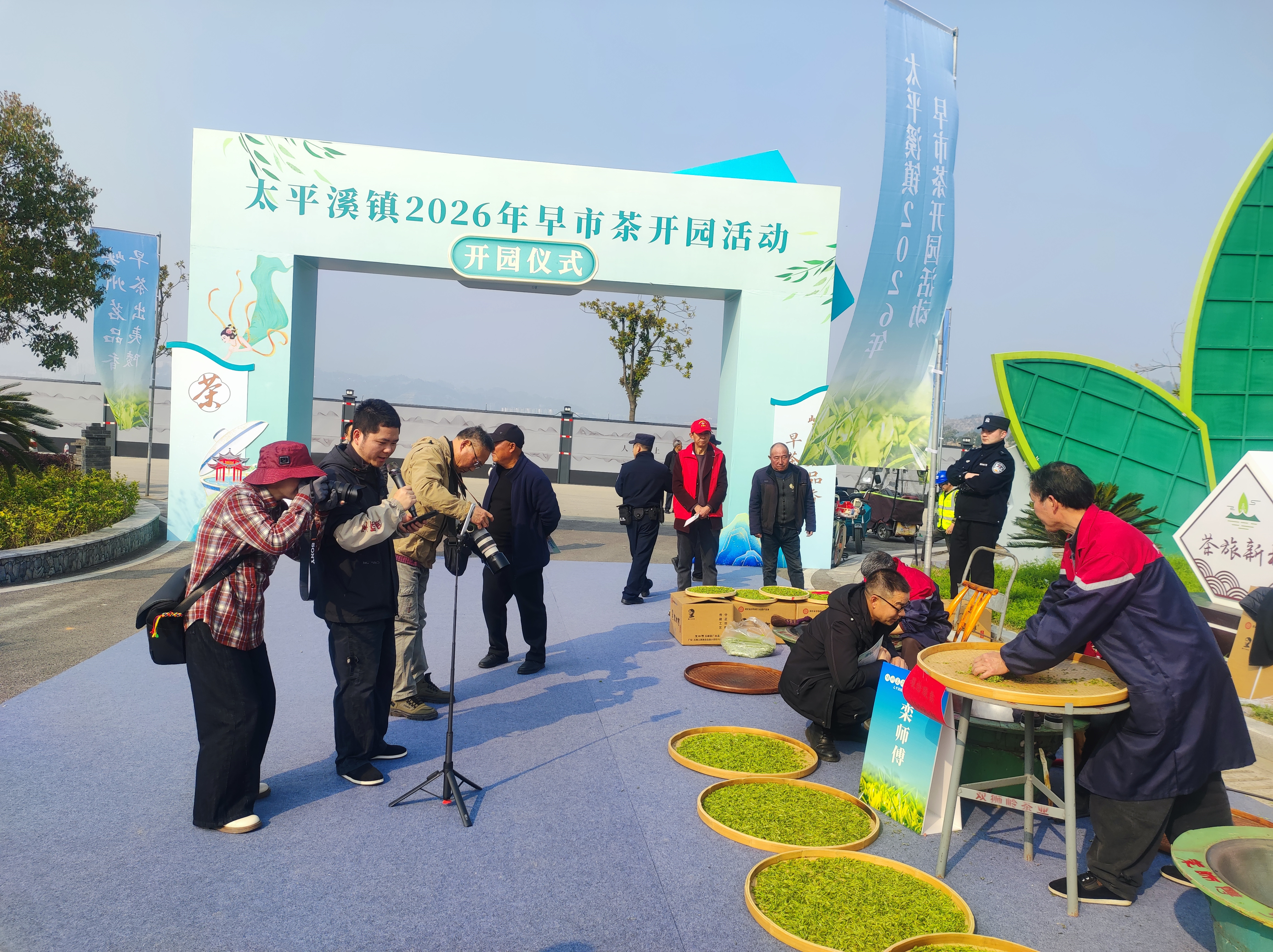 以茶为媒 网销云端