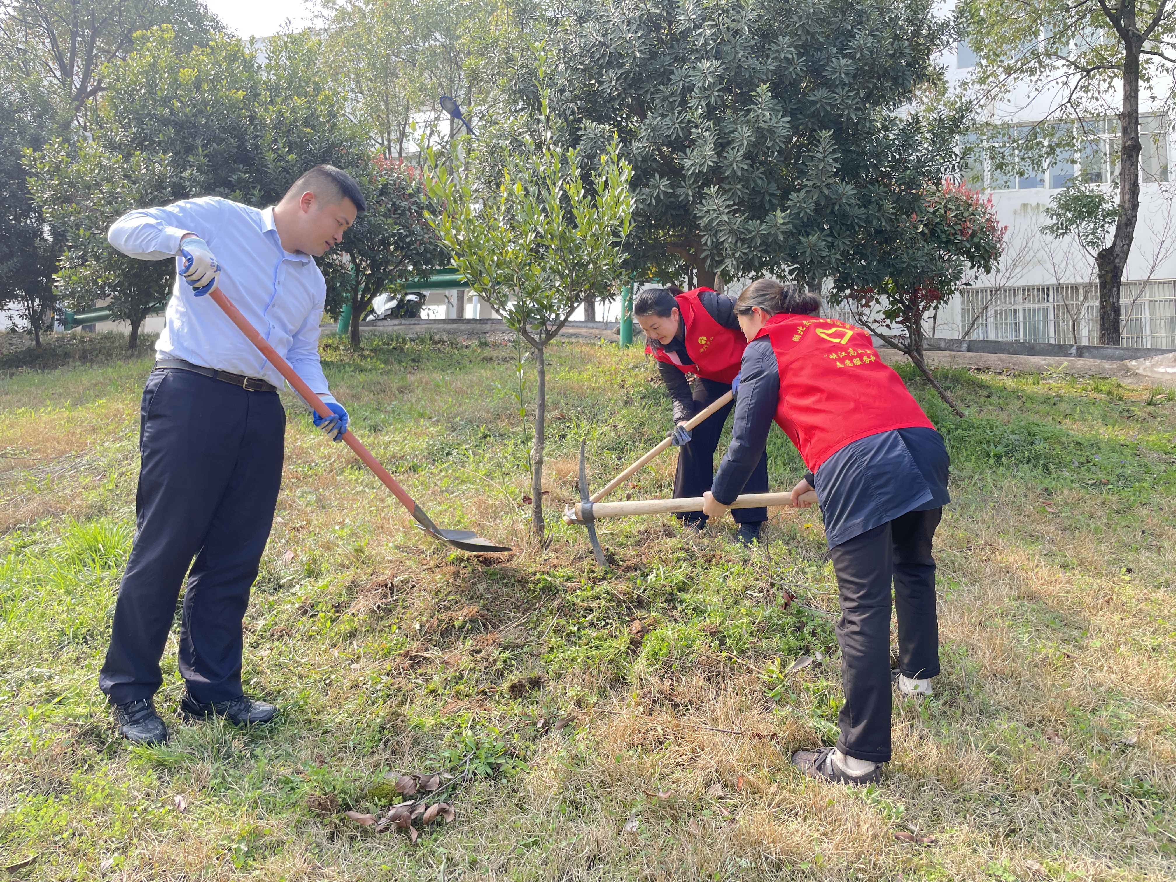 履行植树义务 共建美丽站所—— 宜昌北收费站开展春日植树活动