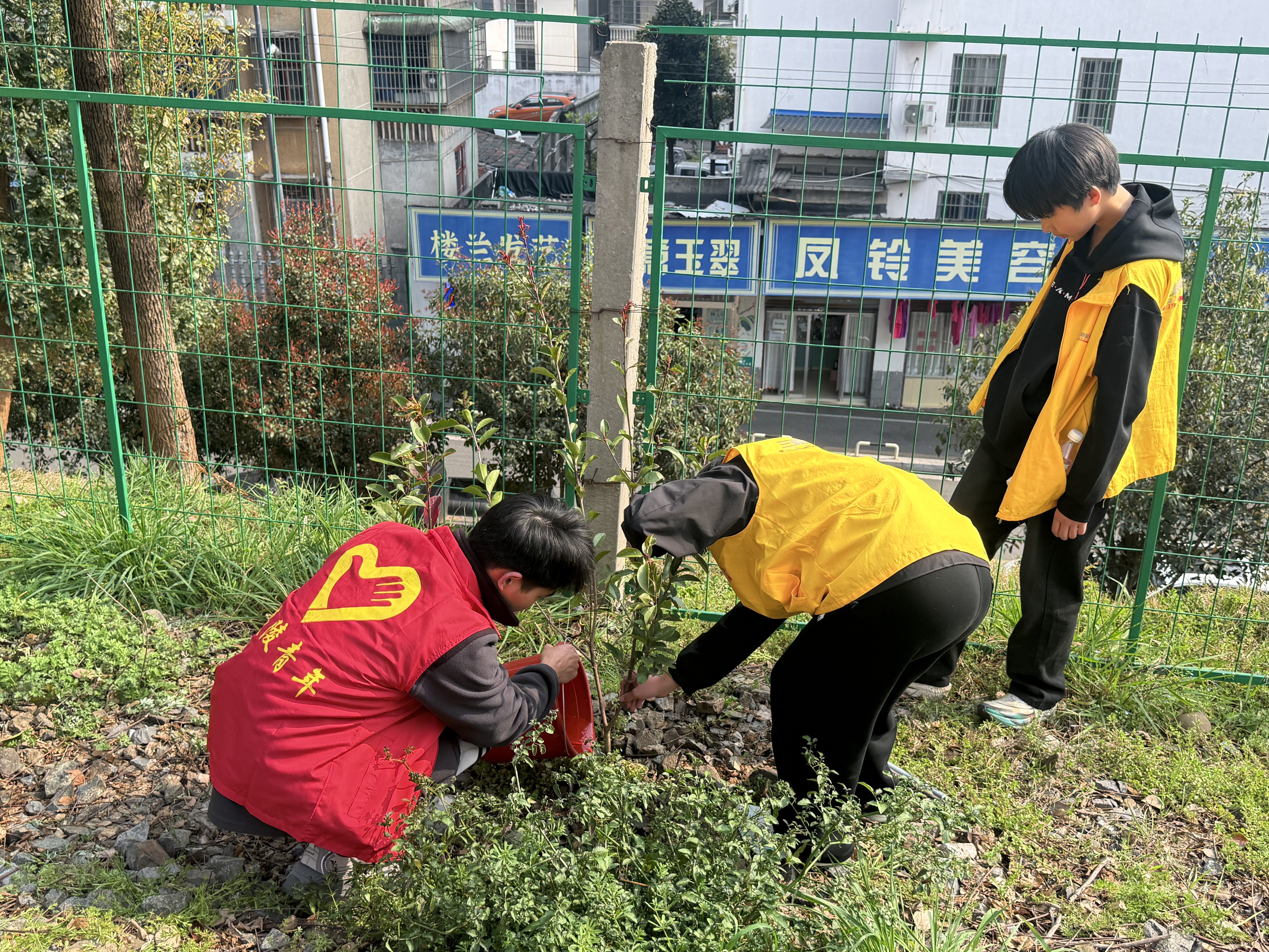 旧轨添新绿 社区焕新颜