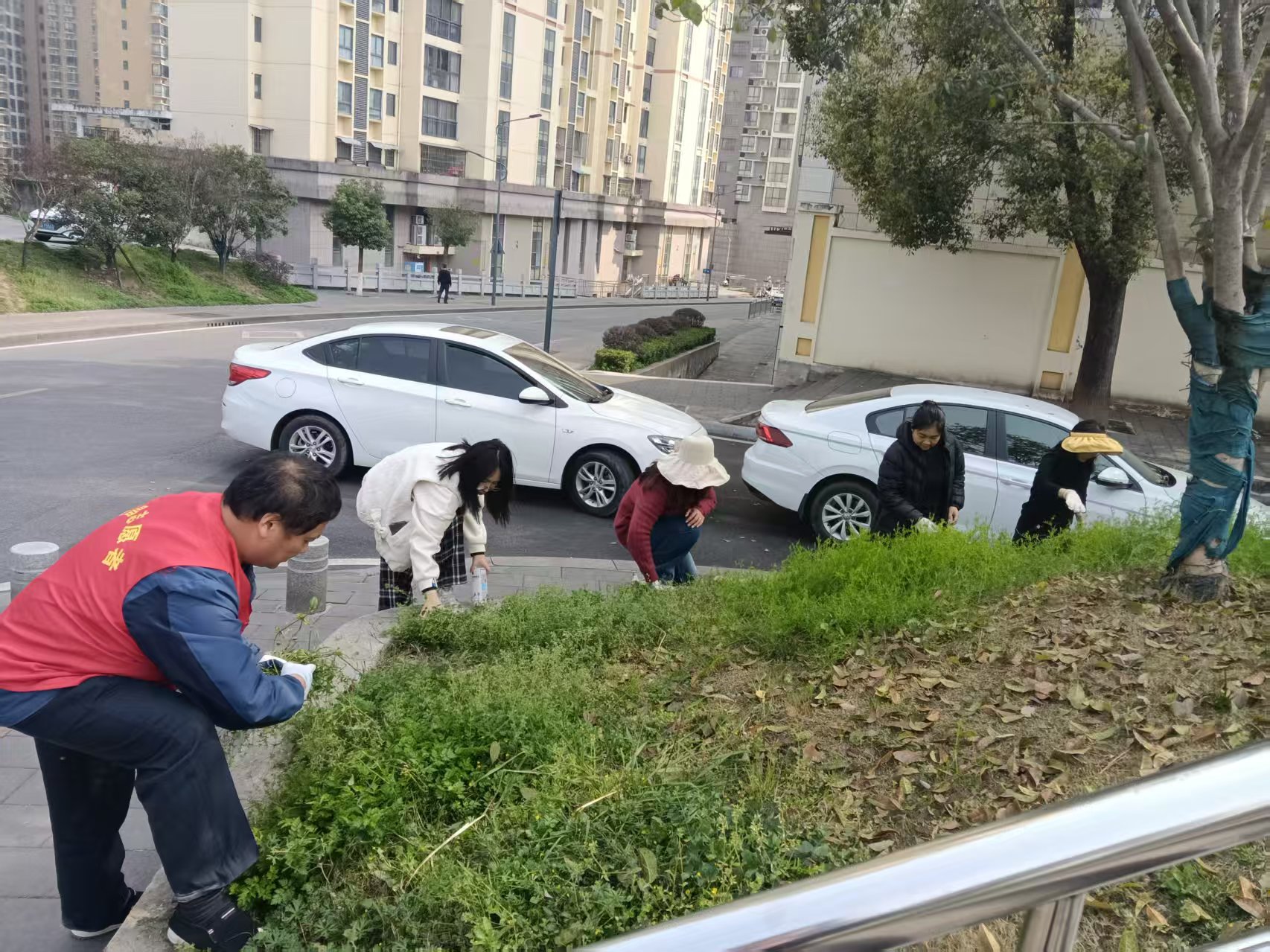 望江社区：拔草护绿净环境 社区整治焕新颜