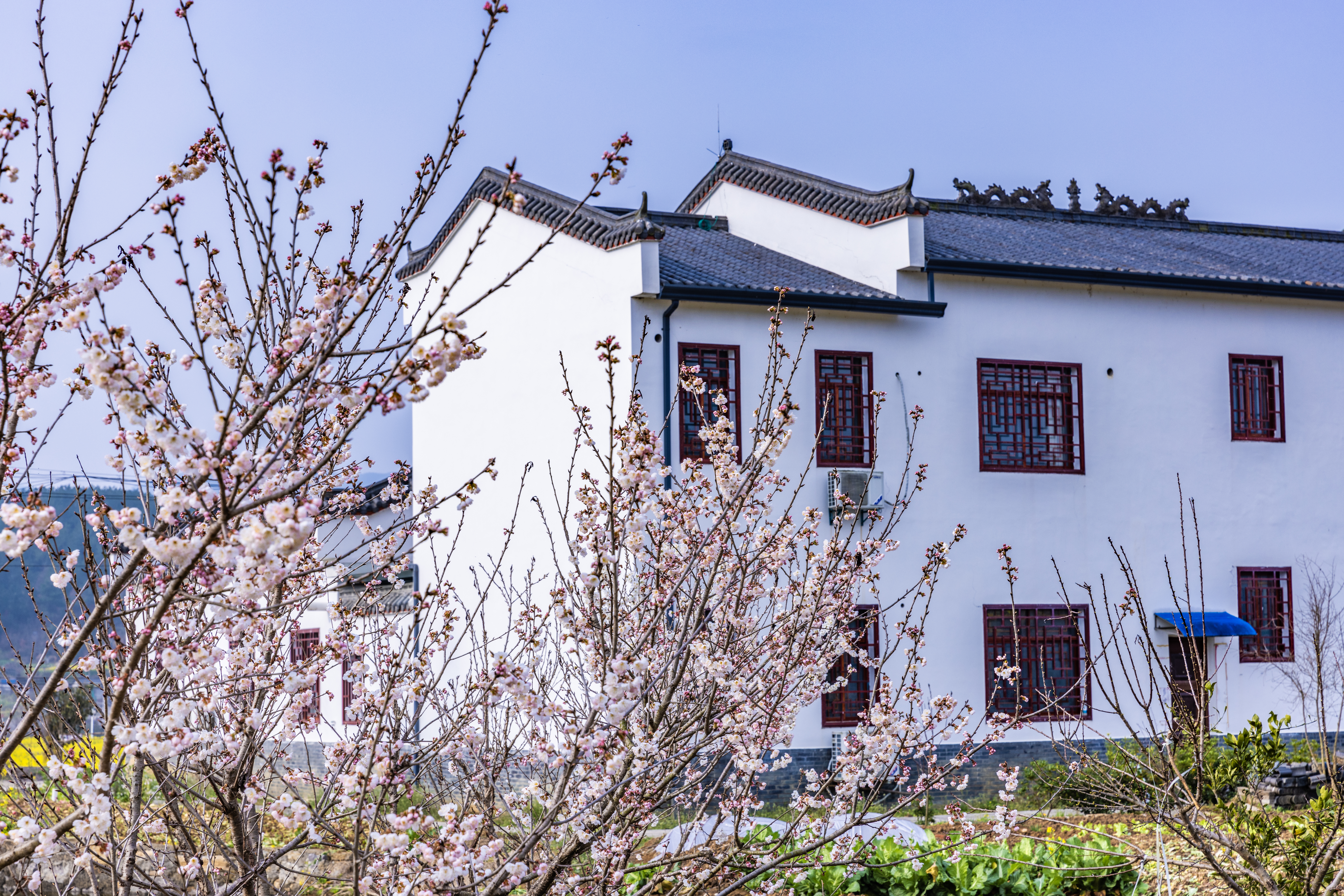 南垭花田庄园别具一格