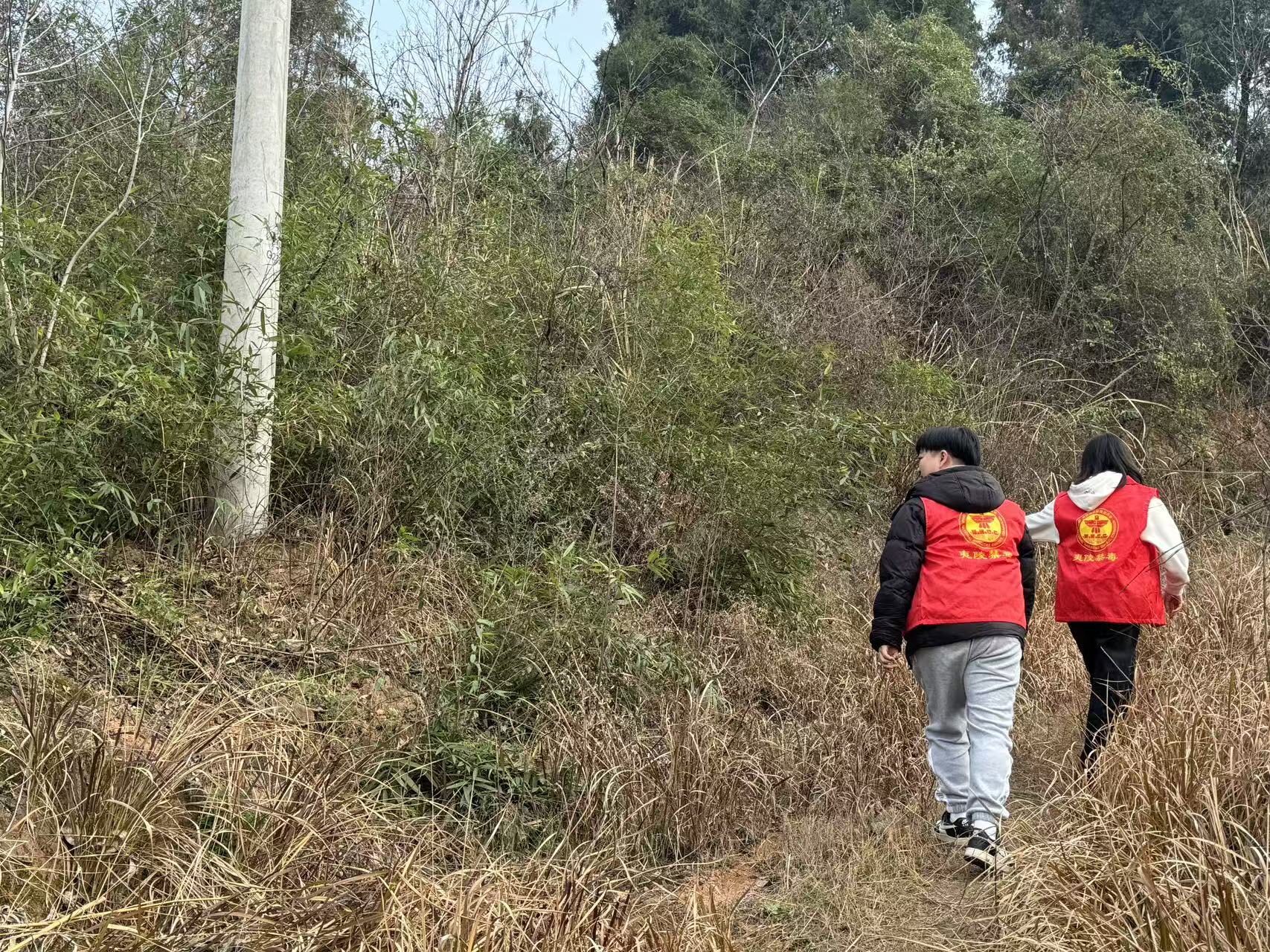 严守禁种铲毒底线 筑牢无毒安全防线