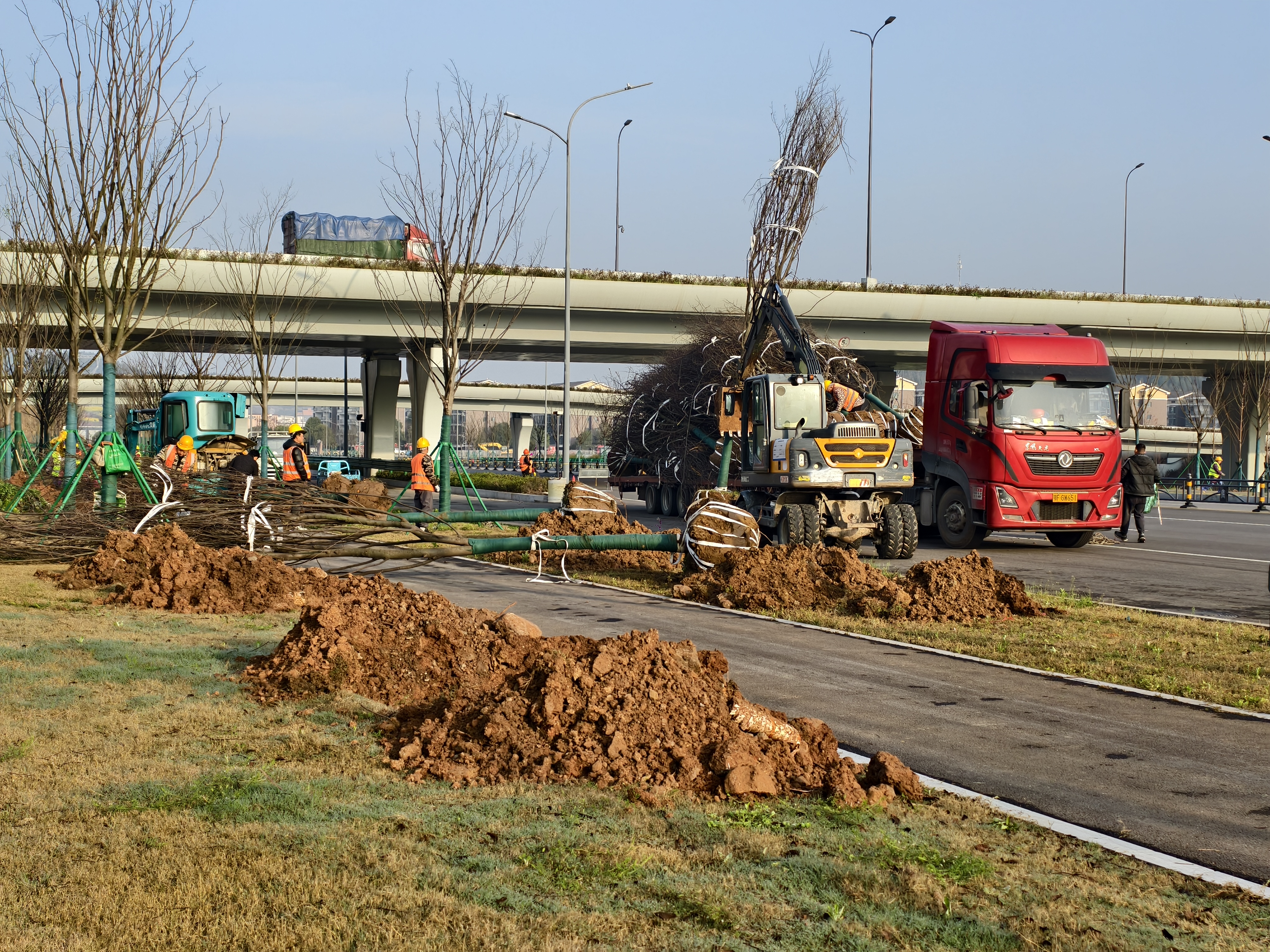 抢抓春季植绿 小鸦路扩建工程添新绿 打造最美城乡生态公路