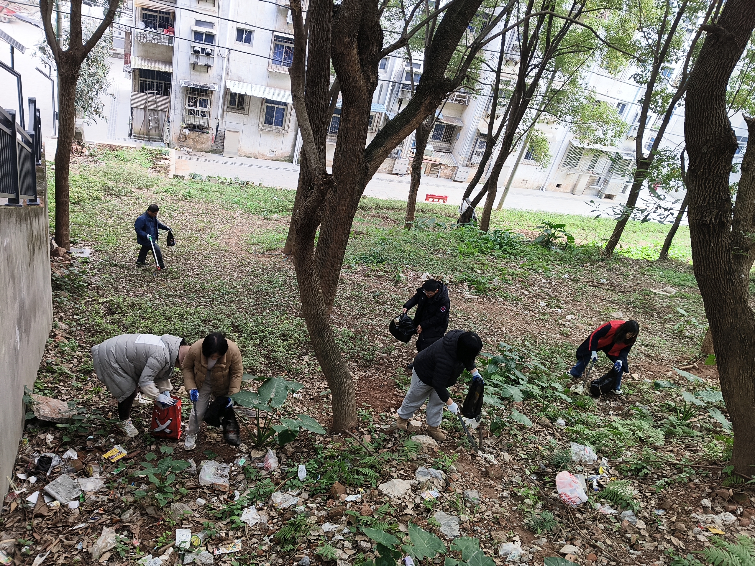 望江社区：学雷锋净家园 文明新风暖社区
