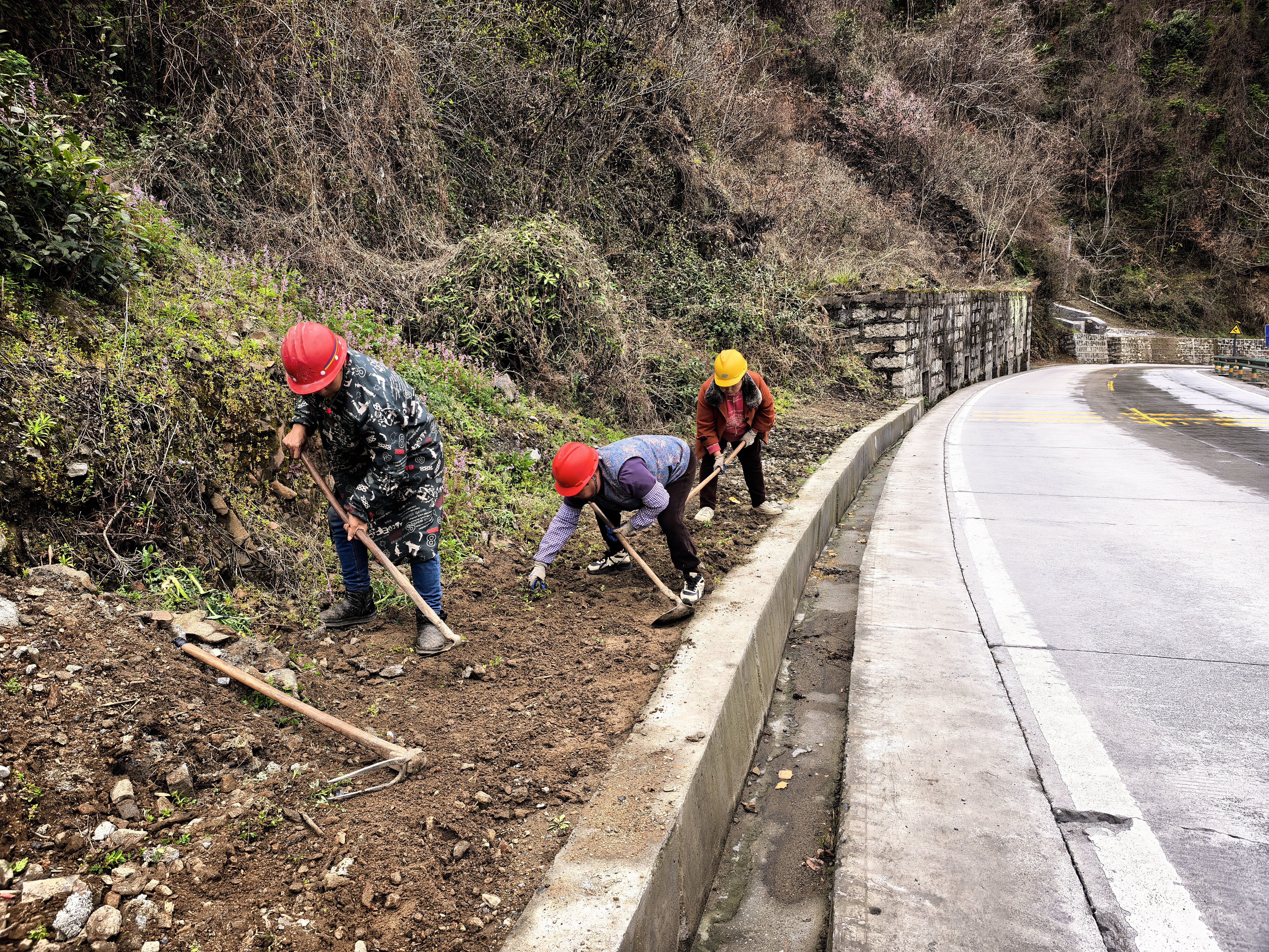 樟村坪镇砦沟村：干群同心打造公路沿线靓丽风景线