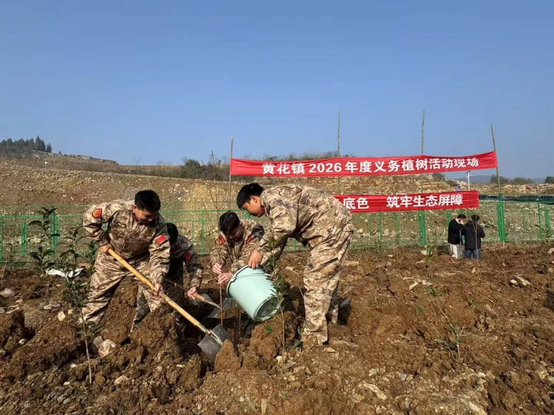 擦亮绿色底色  筑牢生态屏障