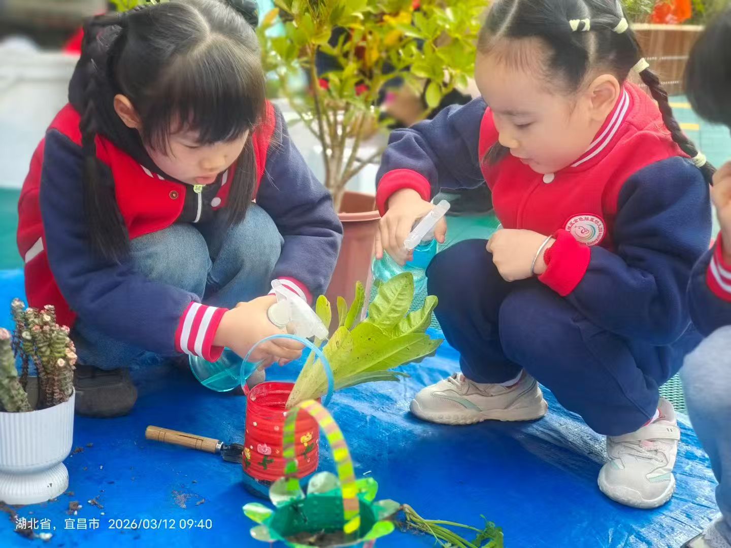 小手添新绿 童心护家园