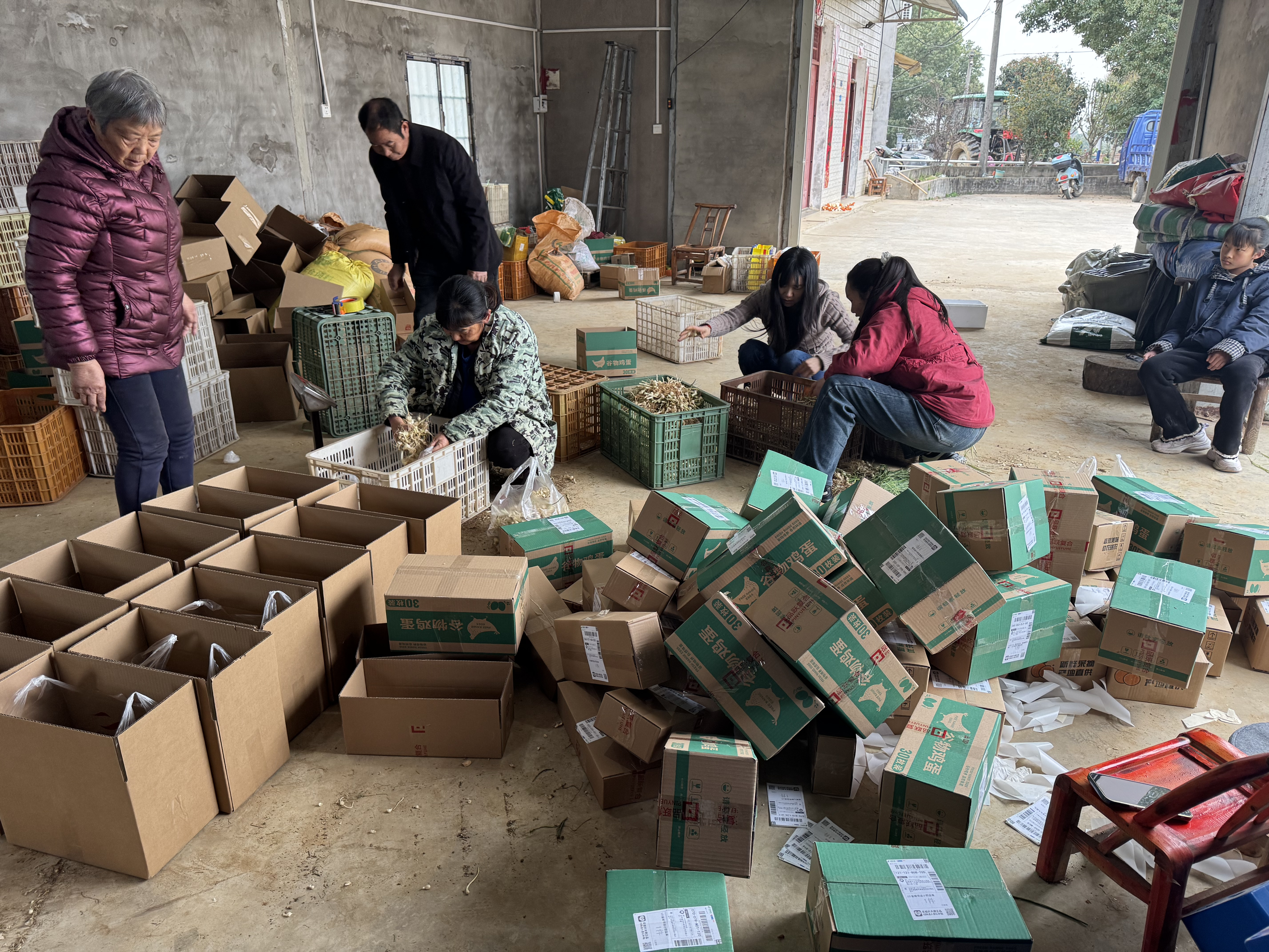 鸦鹊岭镇：一根网线连山海 韭菜飘香闯关东