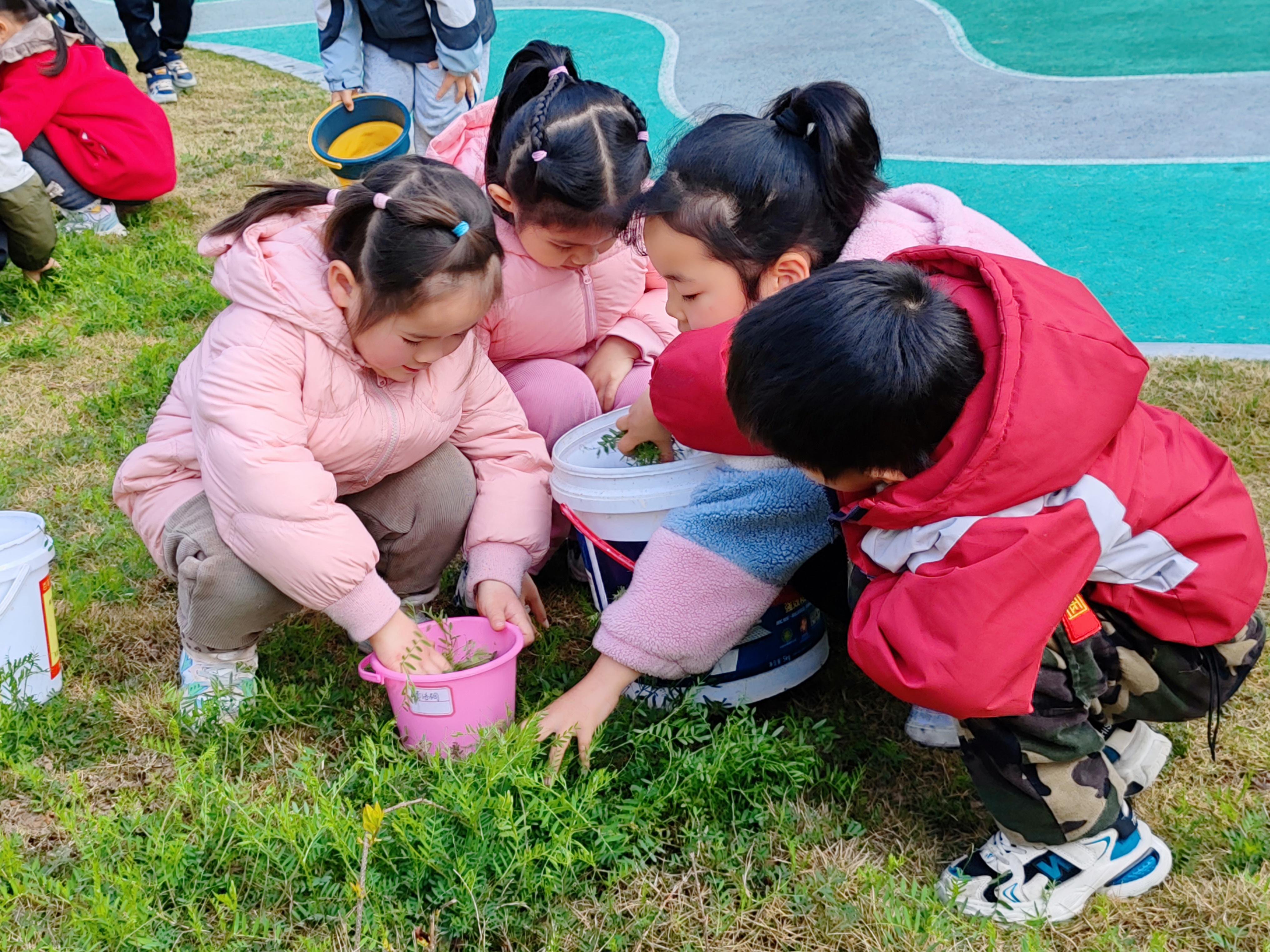 相约暖春 童心护绿