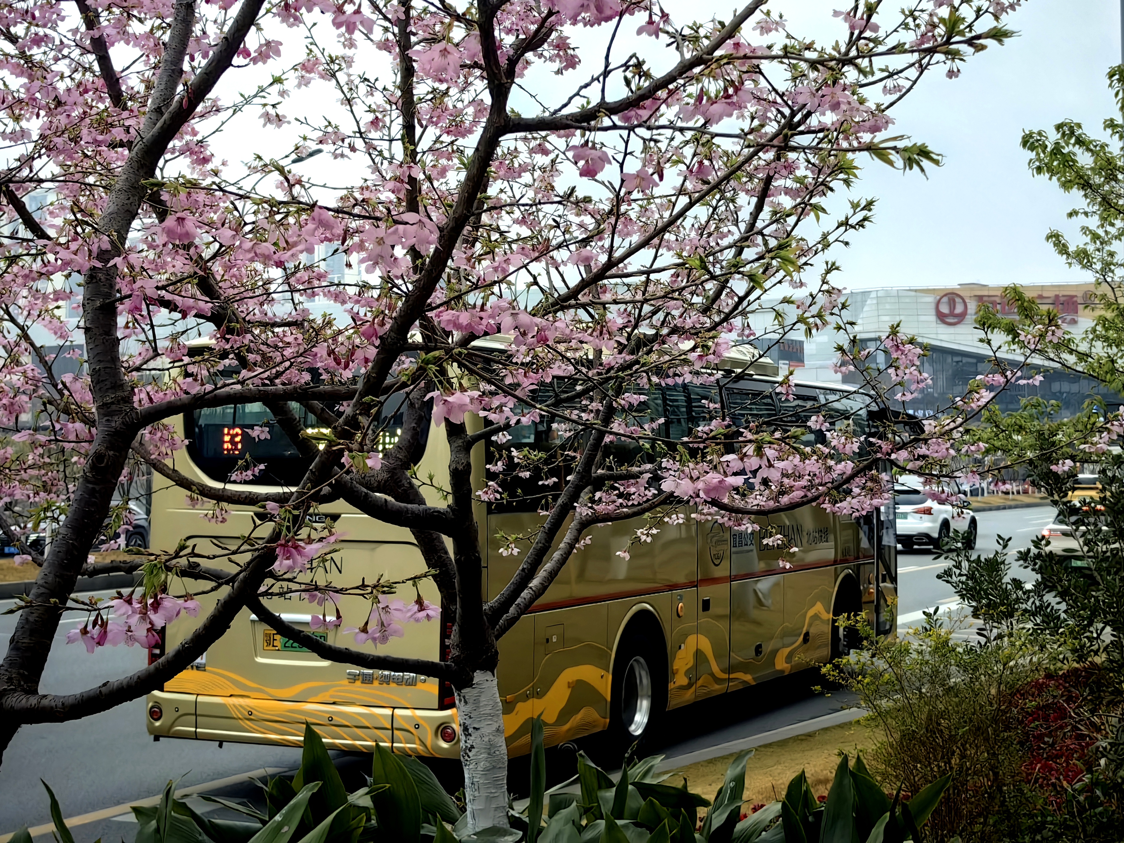 开往春天的K3：一路繁花赴新程