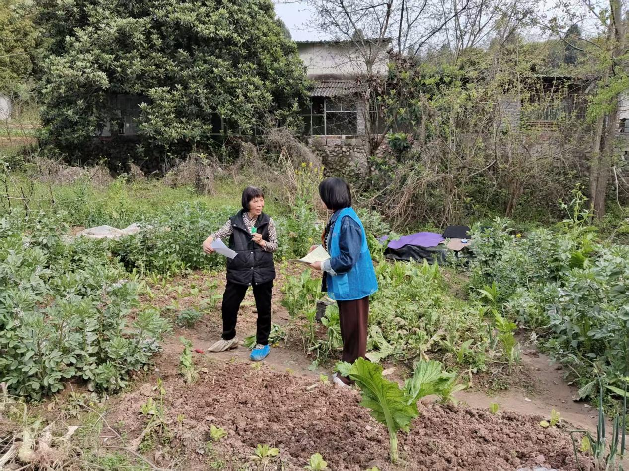 梅子垭村：开展森林防火宣传 多举措织密安全网