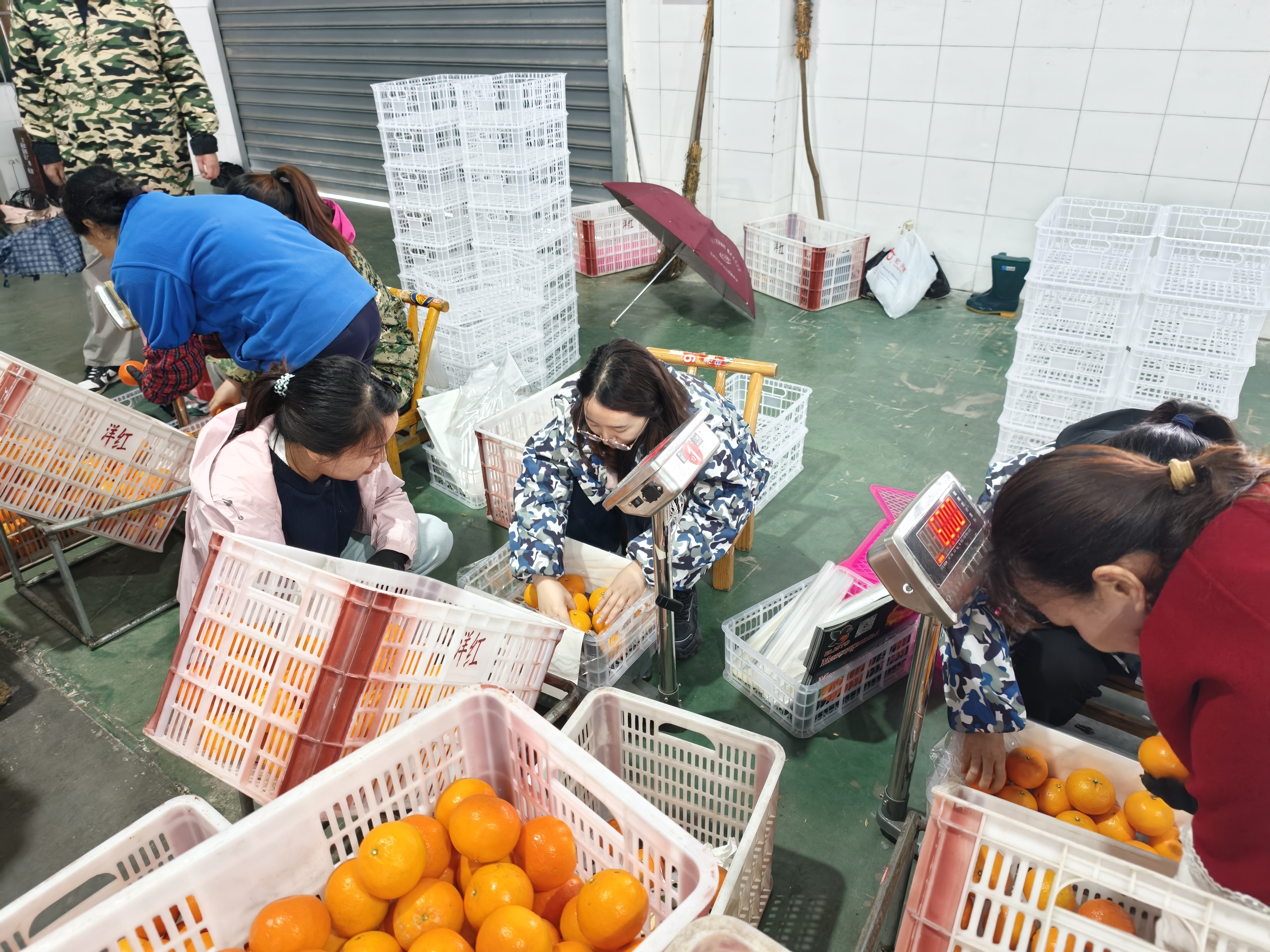 为民送暖 为企探路 为农代言——2026年青干班（第一期）“四同”教育第二日侧记