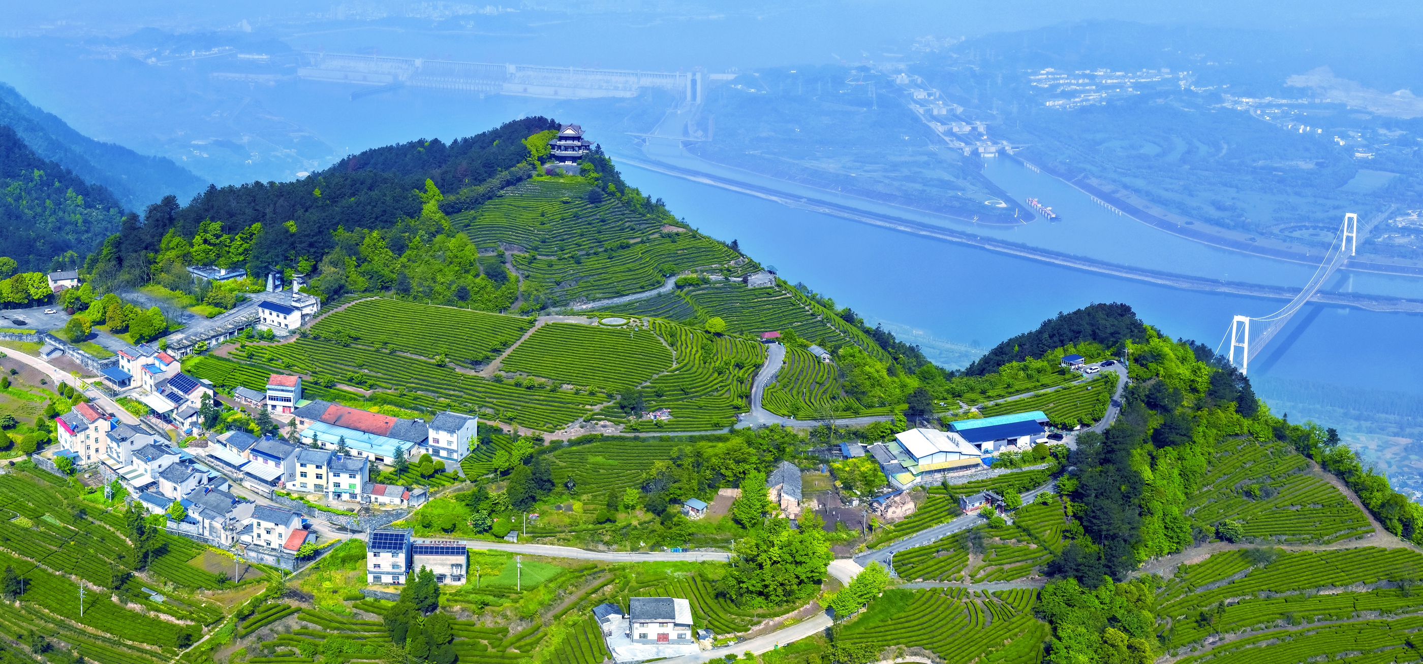 云端茶田映雄坝 乡村振兴绘新篇
