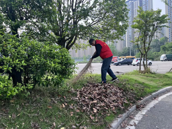 锦江社区：洁净家园 你我同行