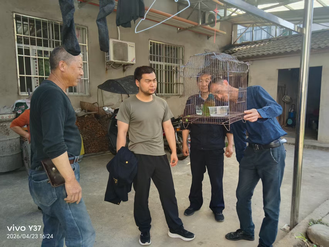 救助大拟啄木鸟 呵护生物多样性