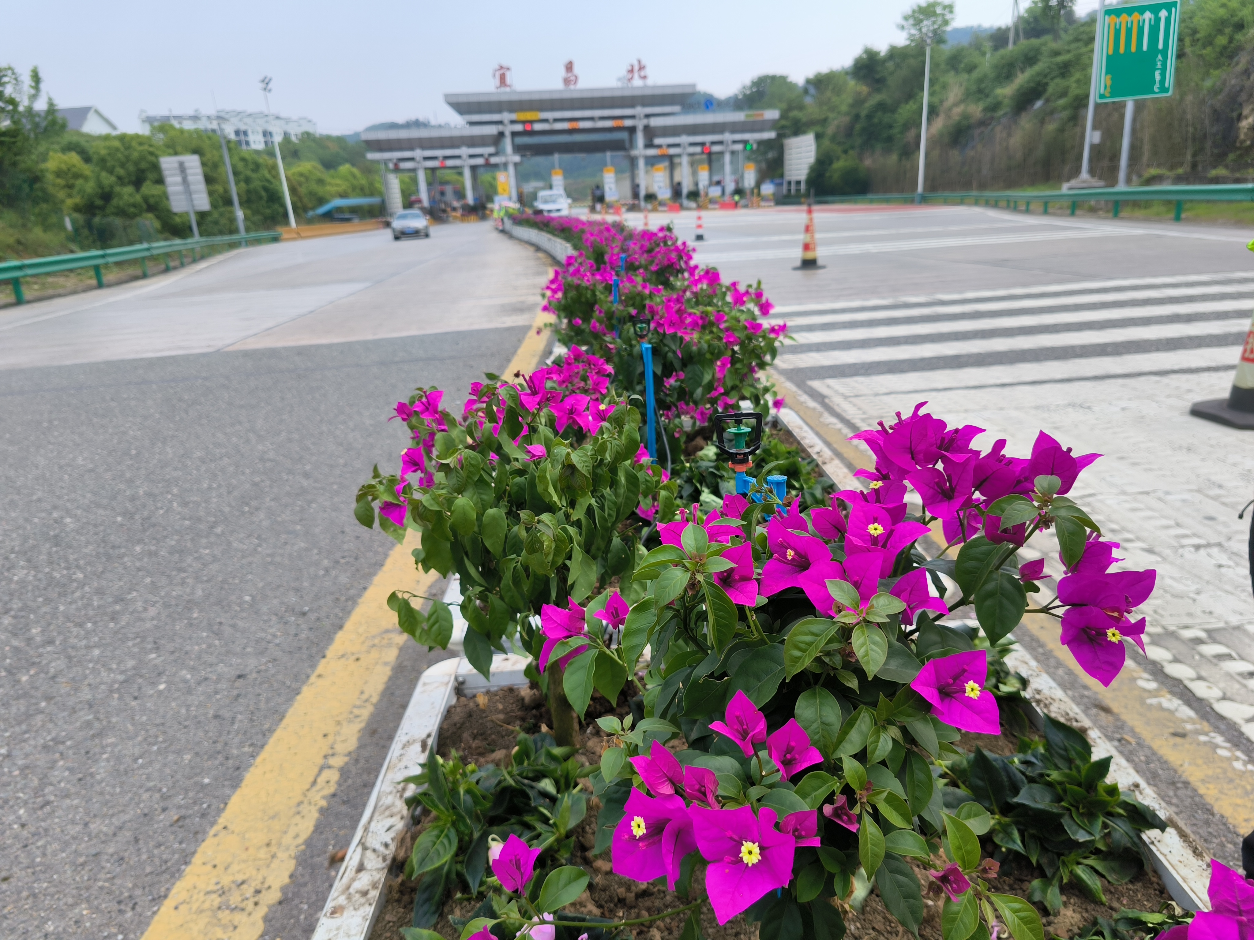 宜昌北收费站“双轮驱动”备战