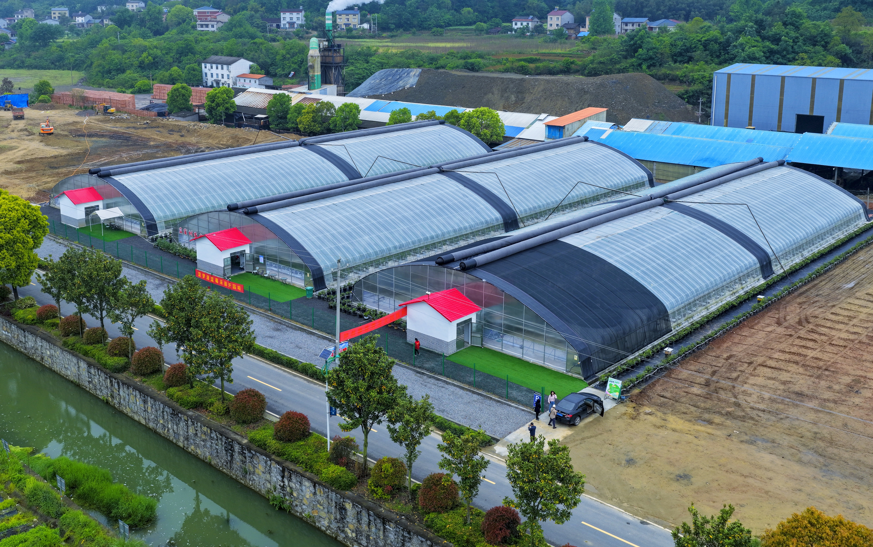 智慧农业结硕果 黄花镇蓝莓抢先上市