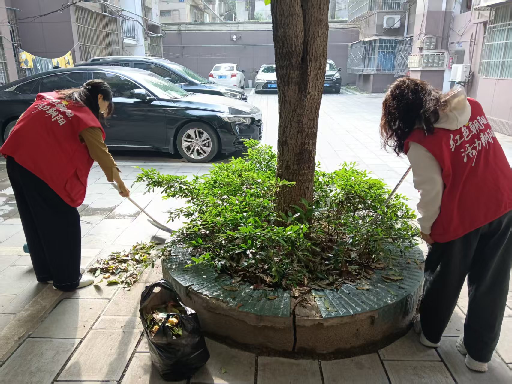 朝阳社区：志愿红扮靓老巷 清死角焕新家园