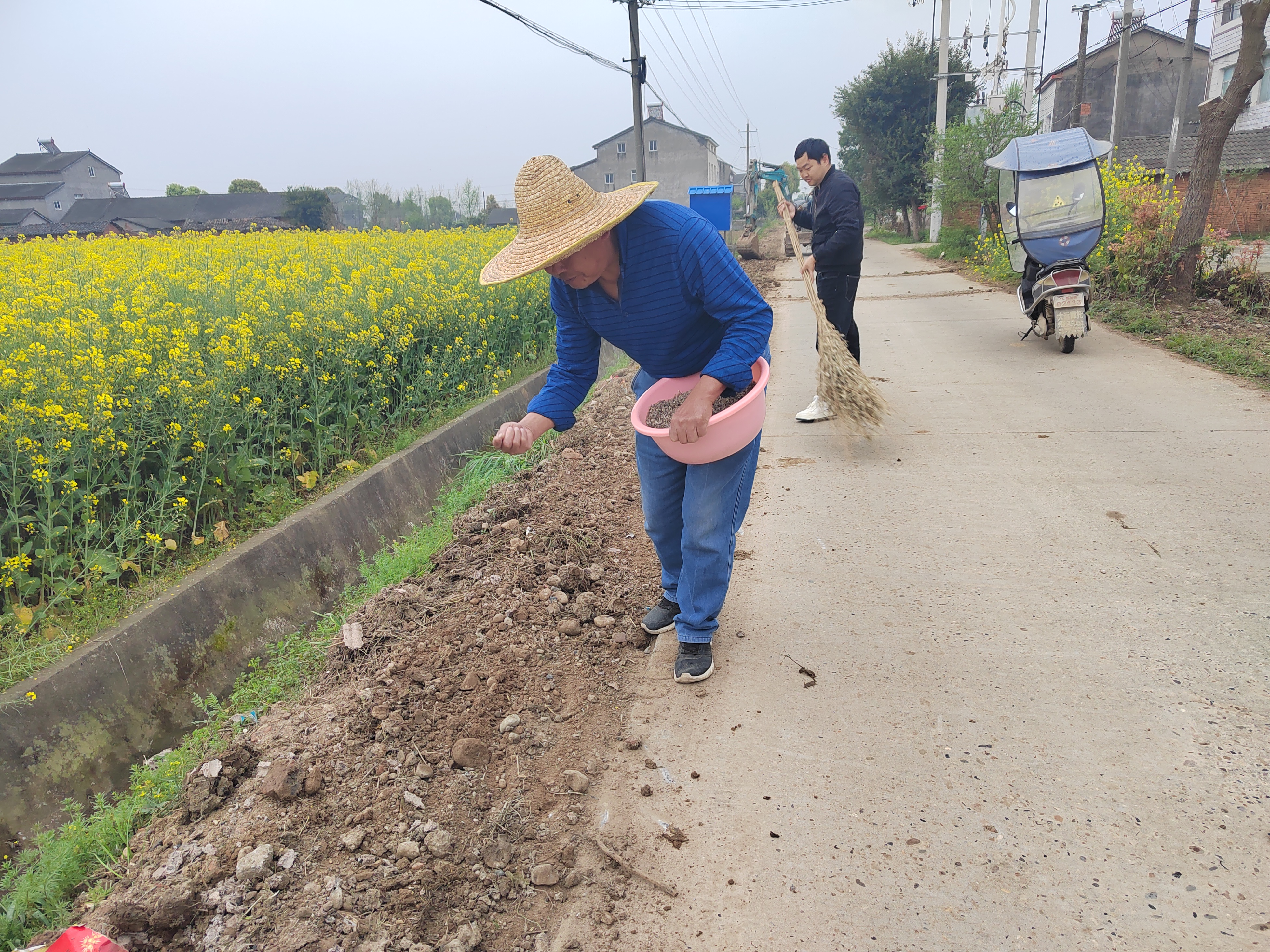 鸦鹊岭镇：整治路域播花种 美化家园展新颜