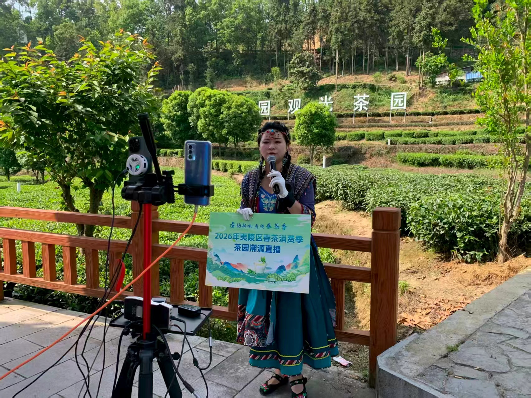 2026年夷陵区春茶消费季活动圆满收官