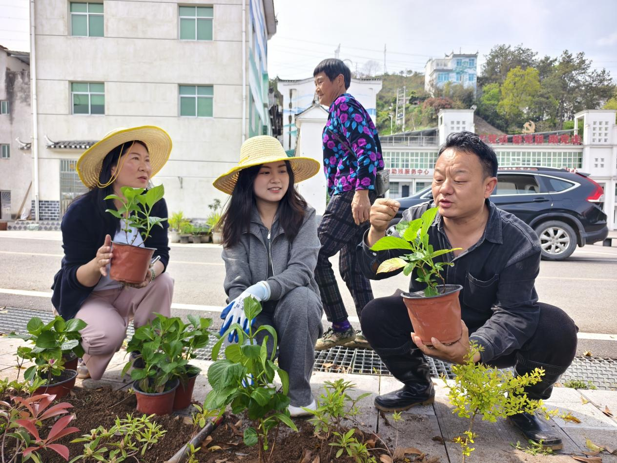 许家冲村：花箱花苗送到家 科普课堂助振兴