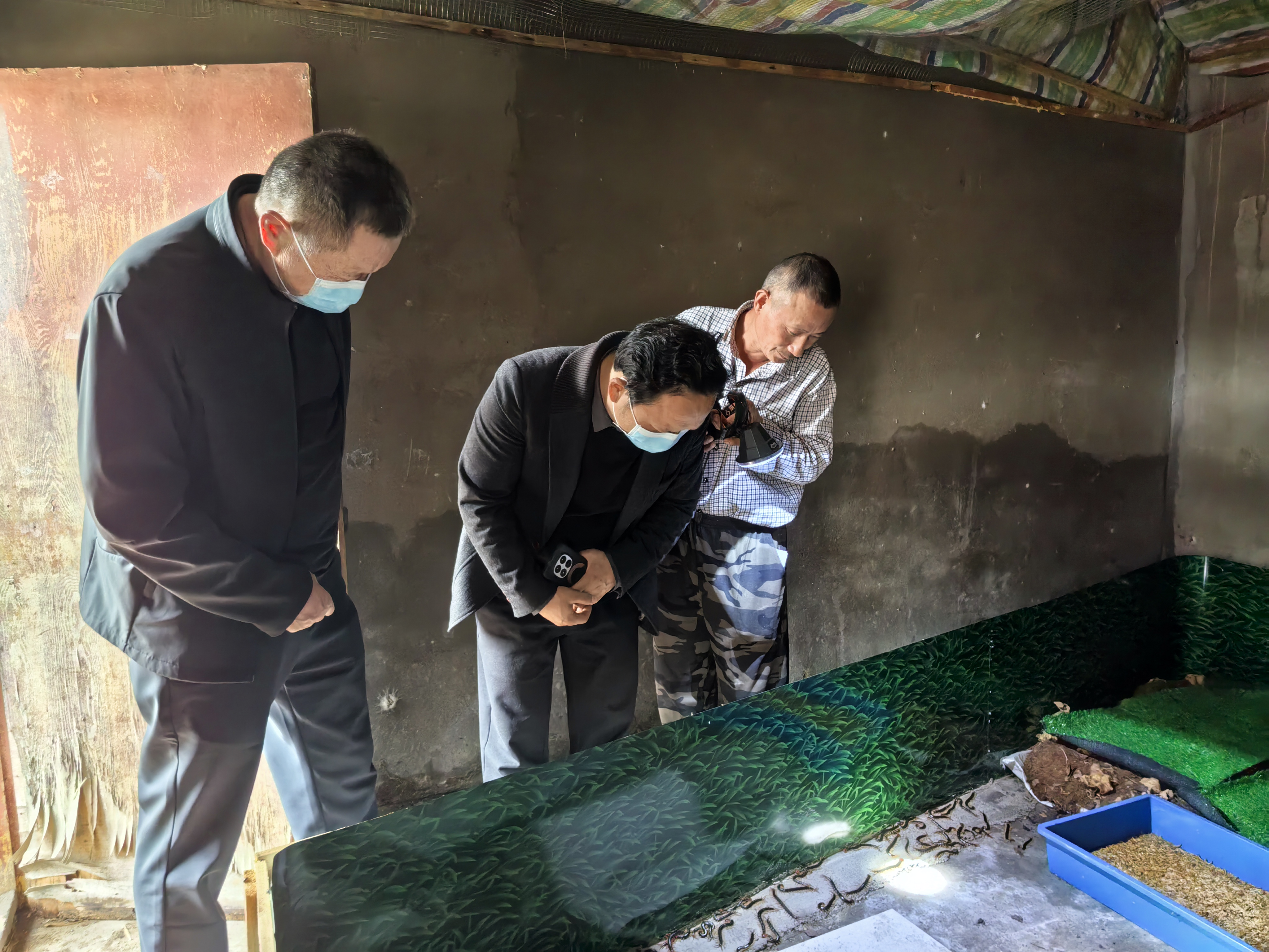 鸦鹊岭镇林业部门为村民蜈蚣养殖开良方