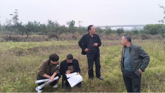 蔡家河村：深入田间地头 精准核查补贴