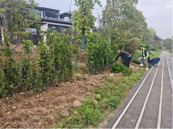 锦湖社区：细微服务暖民心 温情处置显担当