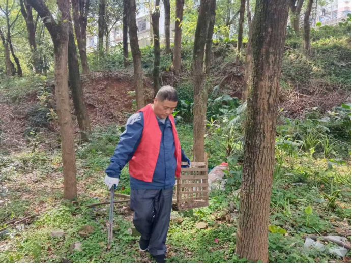 望江社区开展龙洞湾片区环境治理行动