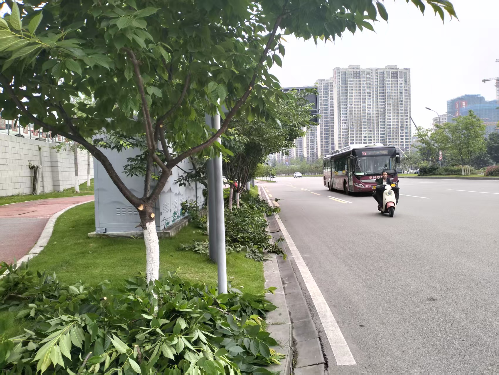 绿洲社区：绿洲码上办 为民解忧提速增效