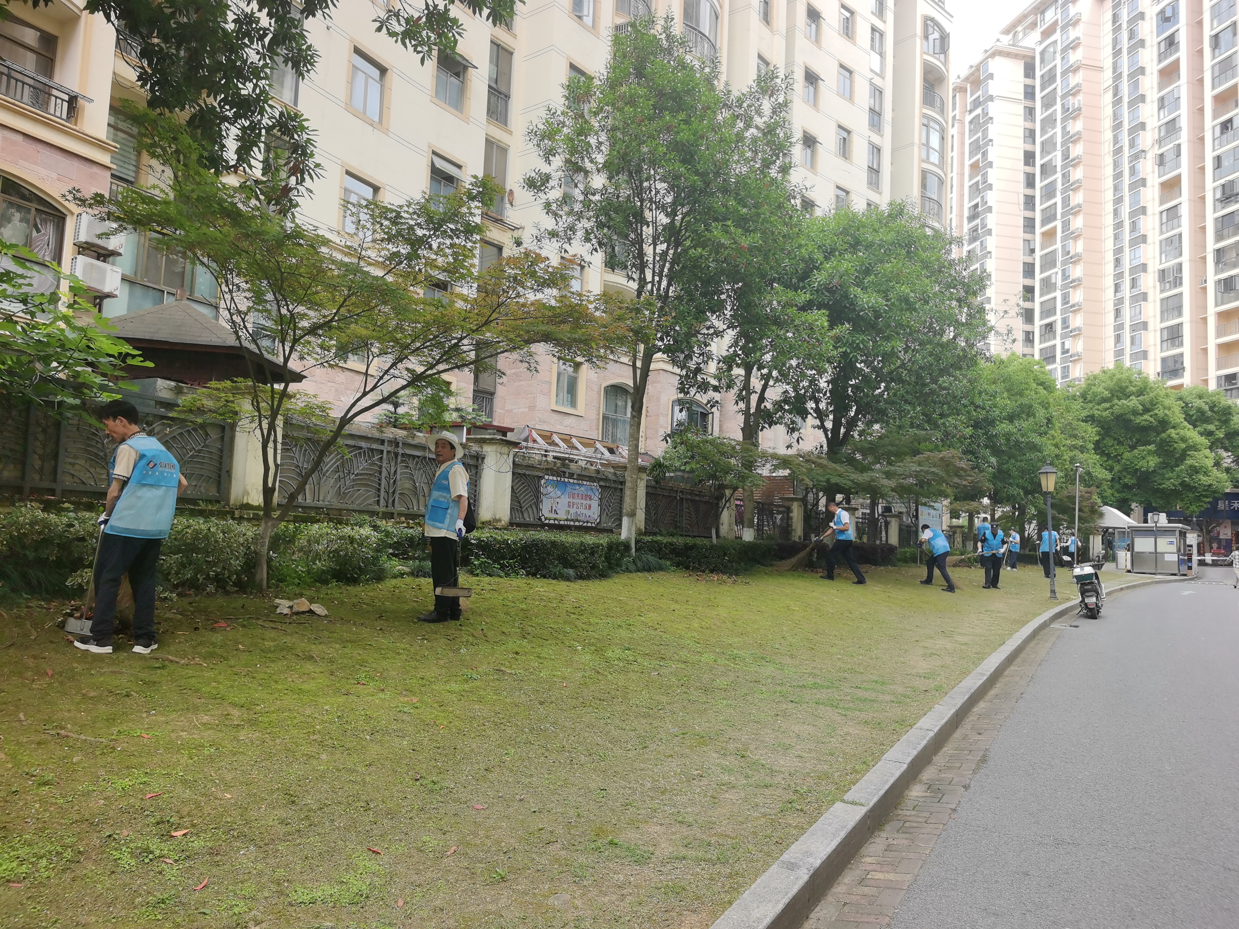 党建引领聚合力 携手共治美家园